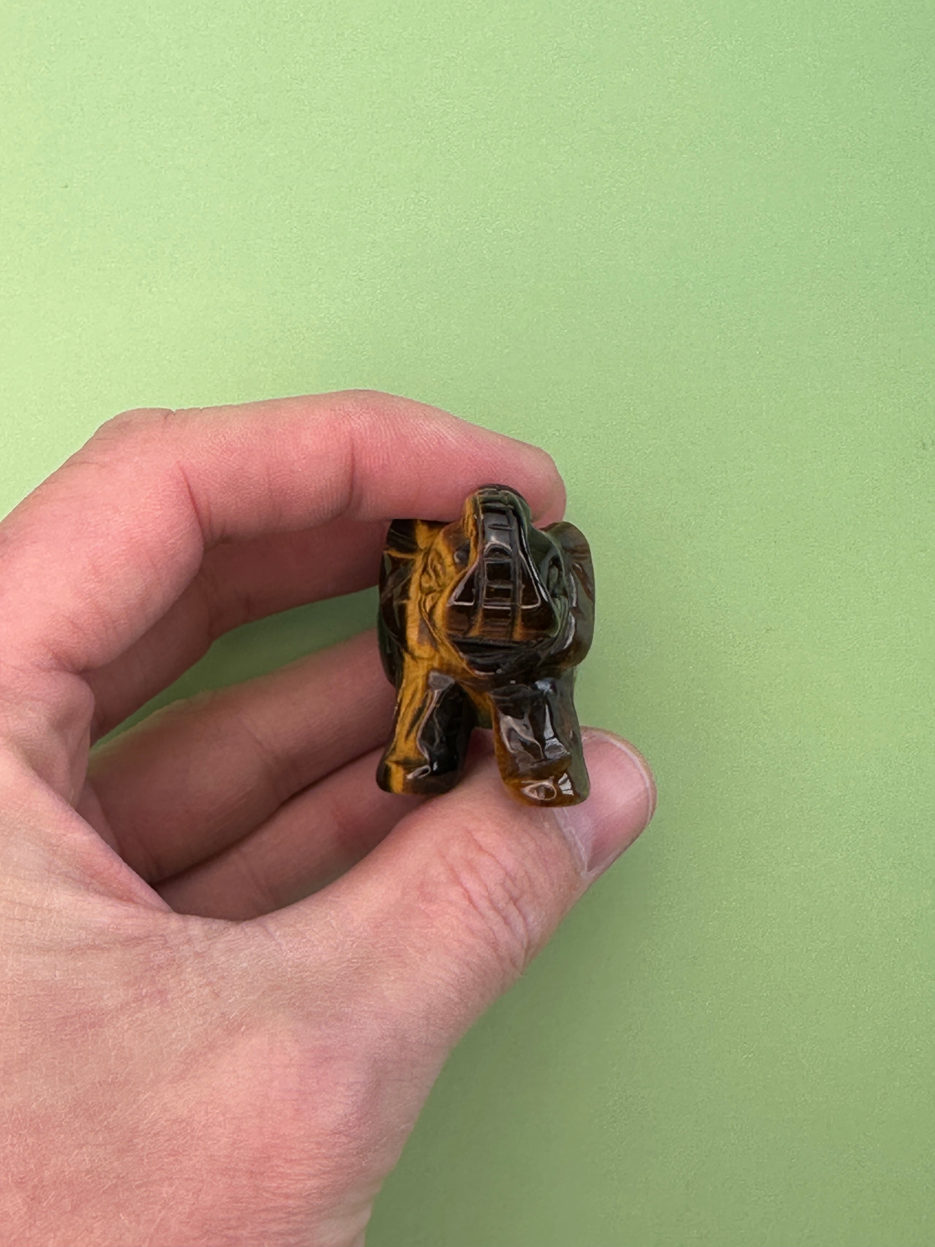 Tigers eye - Elephant