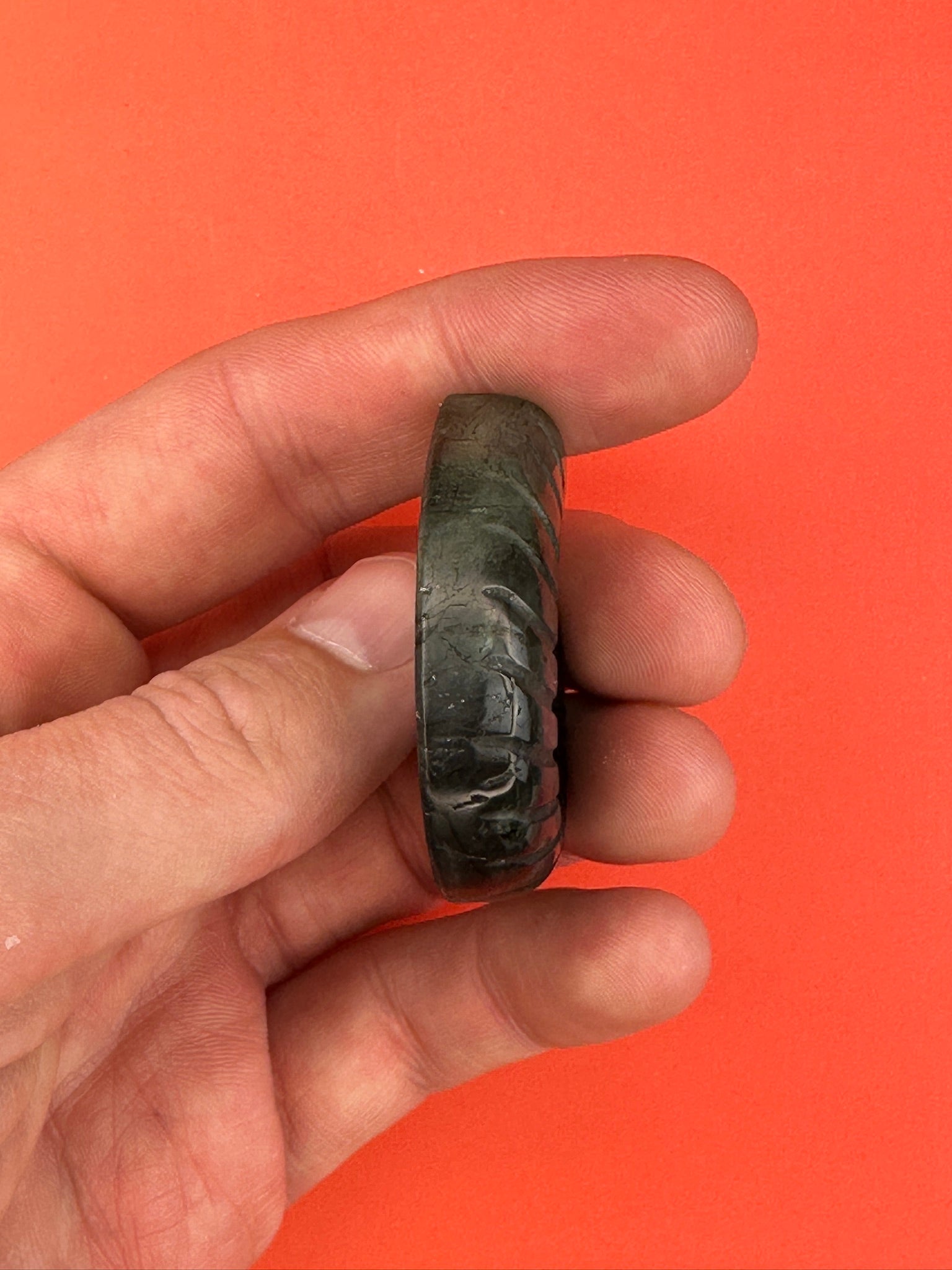 Labradorite - Shell carving