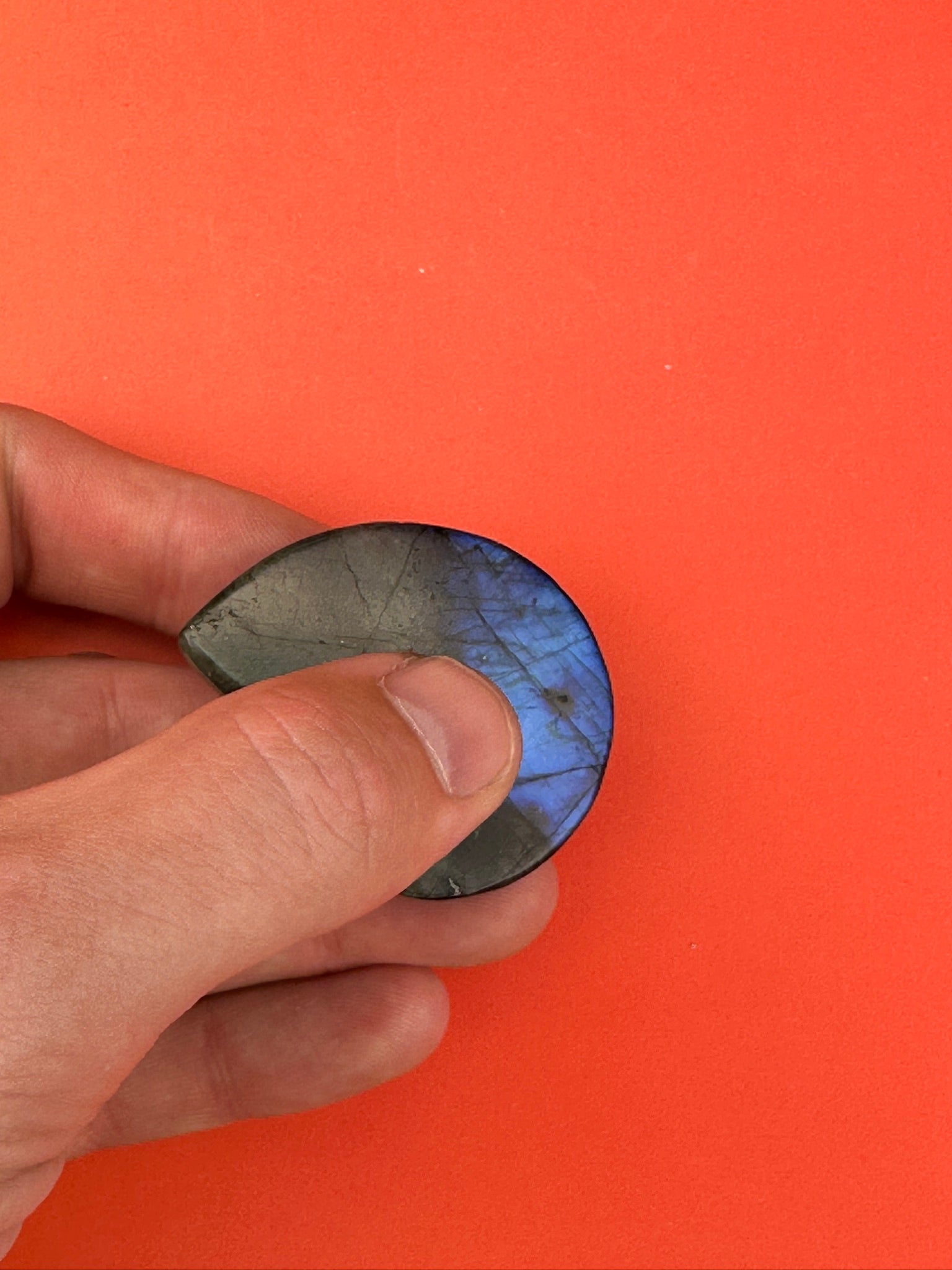 Labradorite - Shell carving