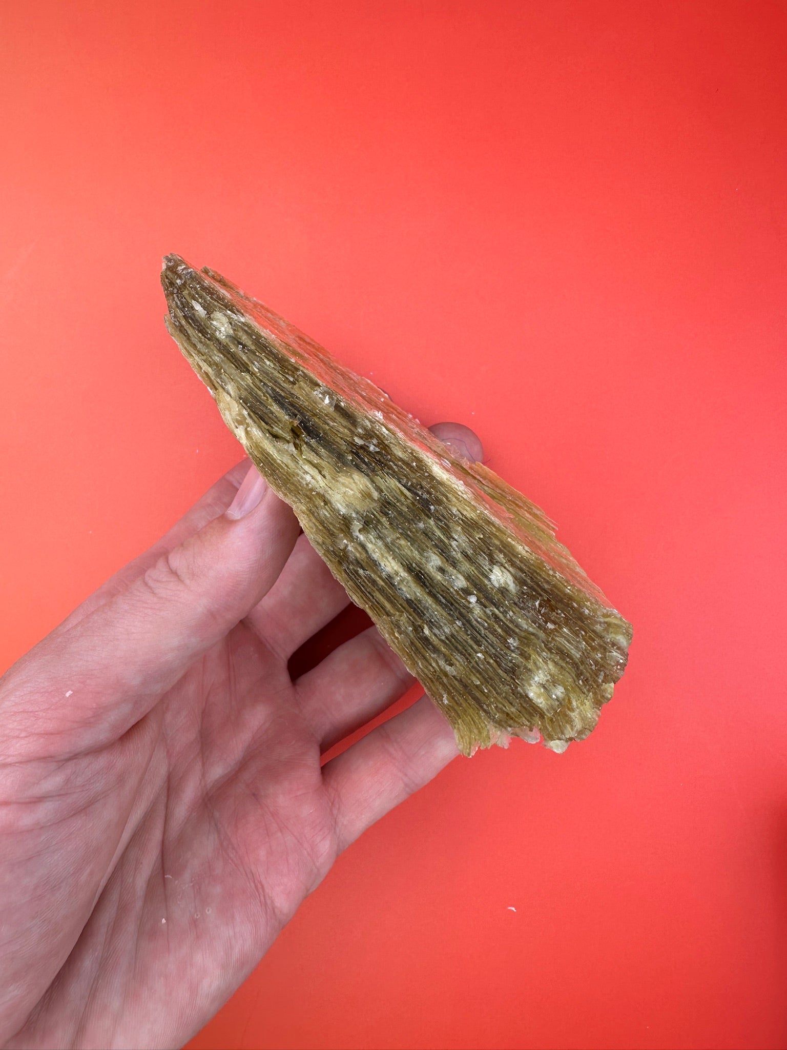 Gold star mica - XL Rough chunk