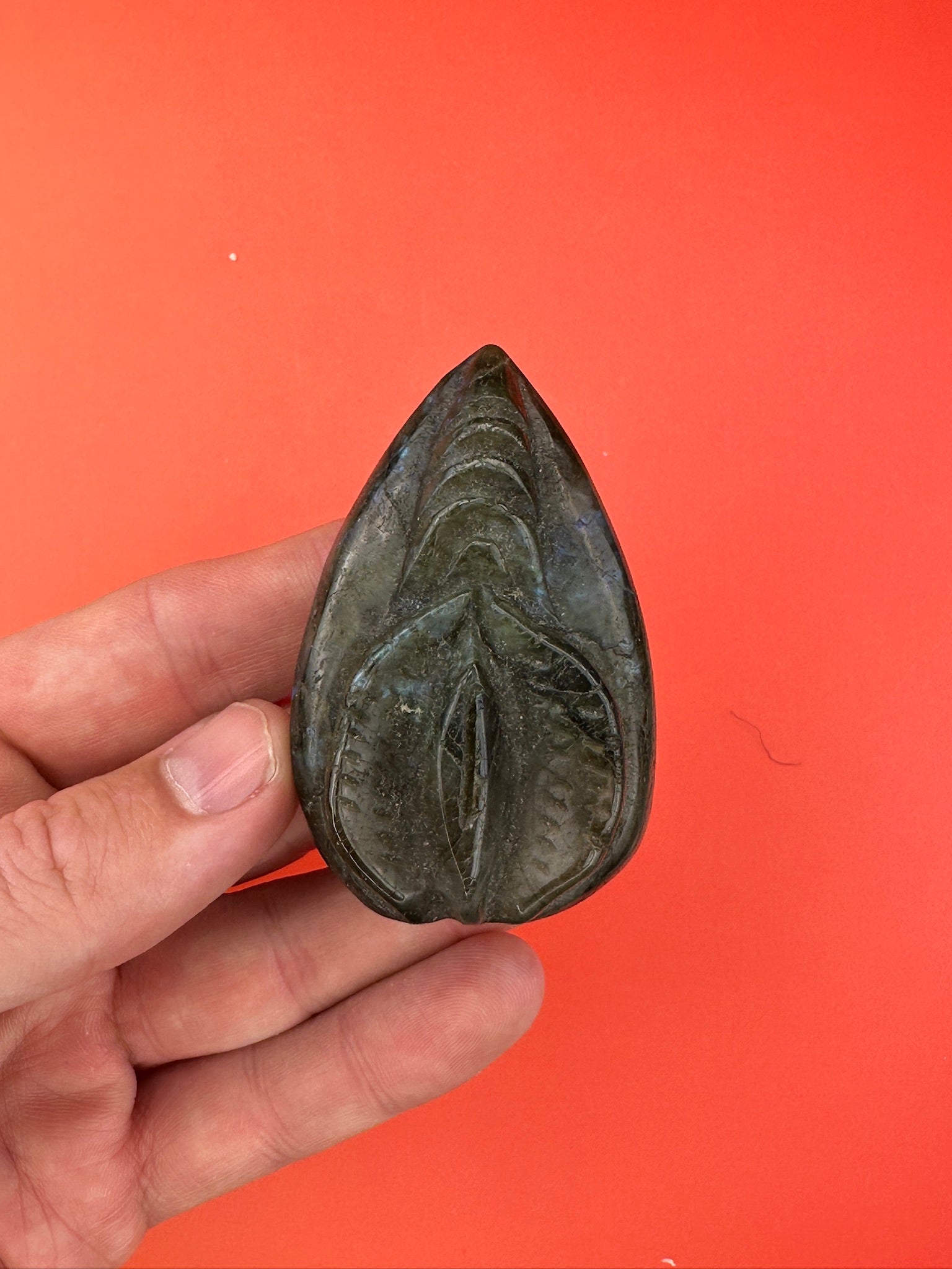 Labradorite - Lady lillies