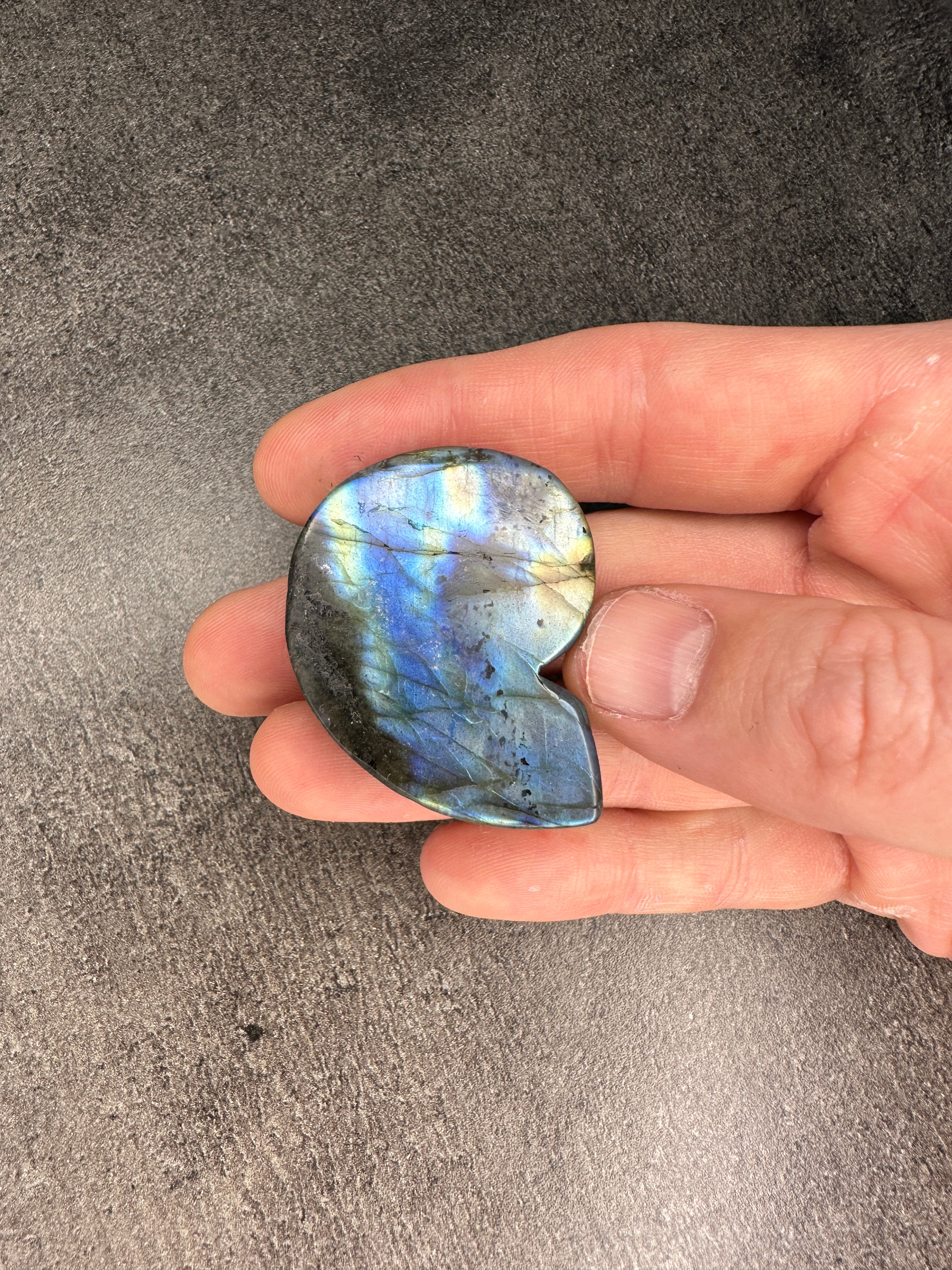 Labradorite - Shell carving