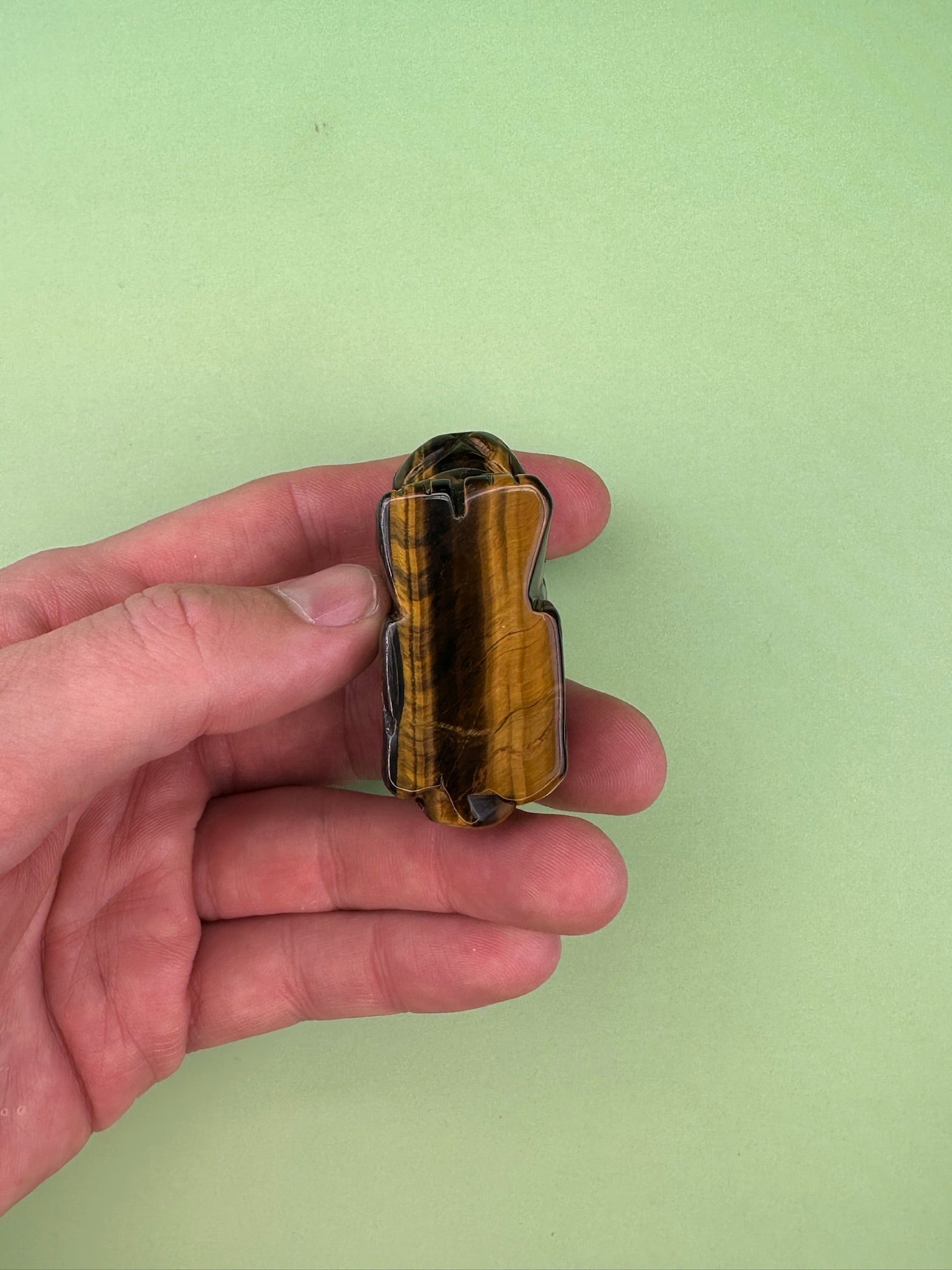 Tigers eye - Rabbit