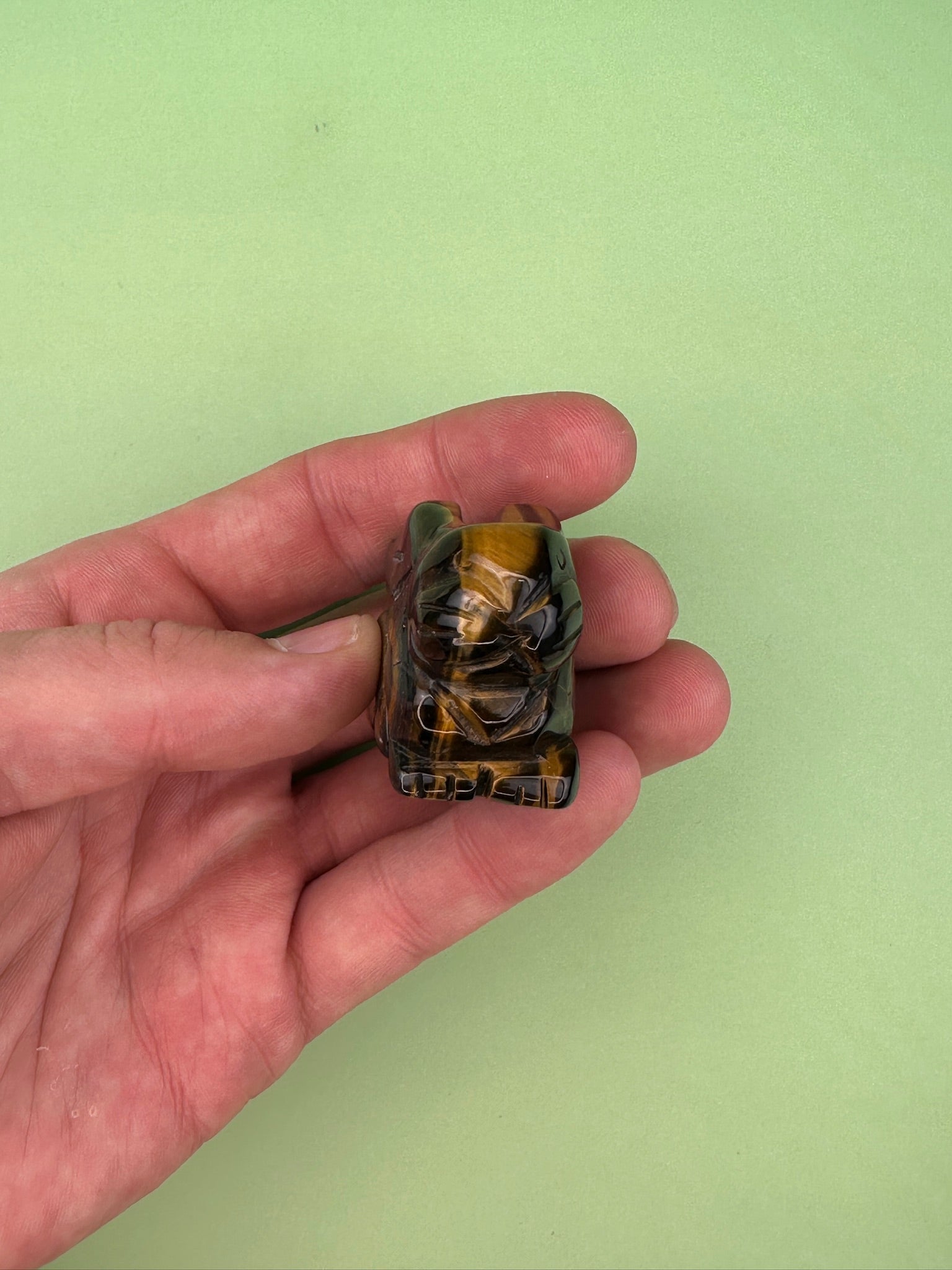 Tigers eye - Rabbit
