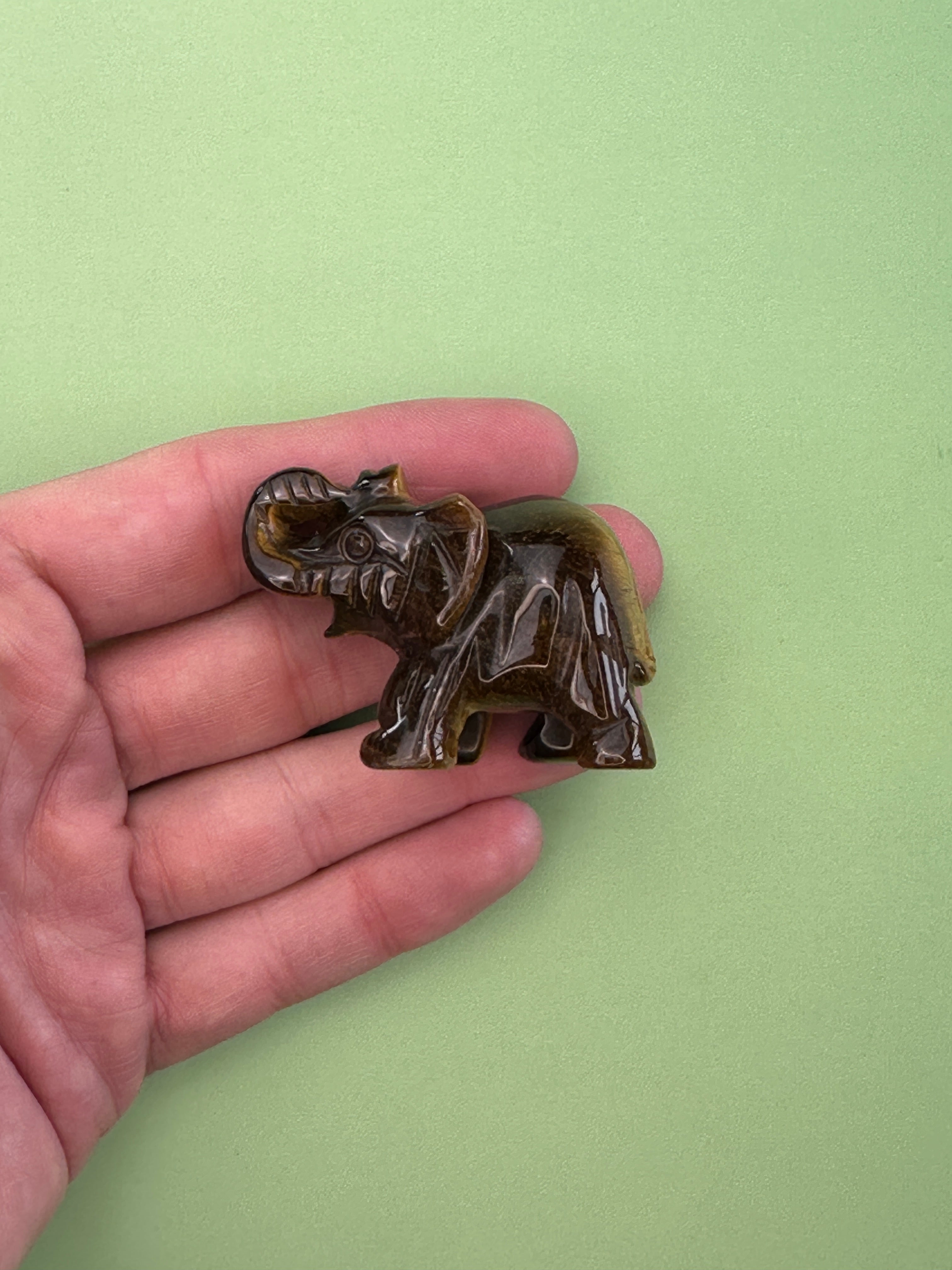 Tigers eye - Elephant