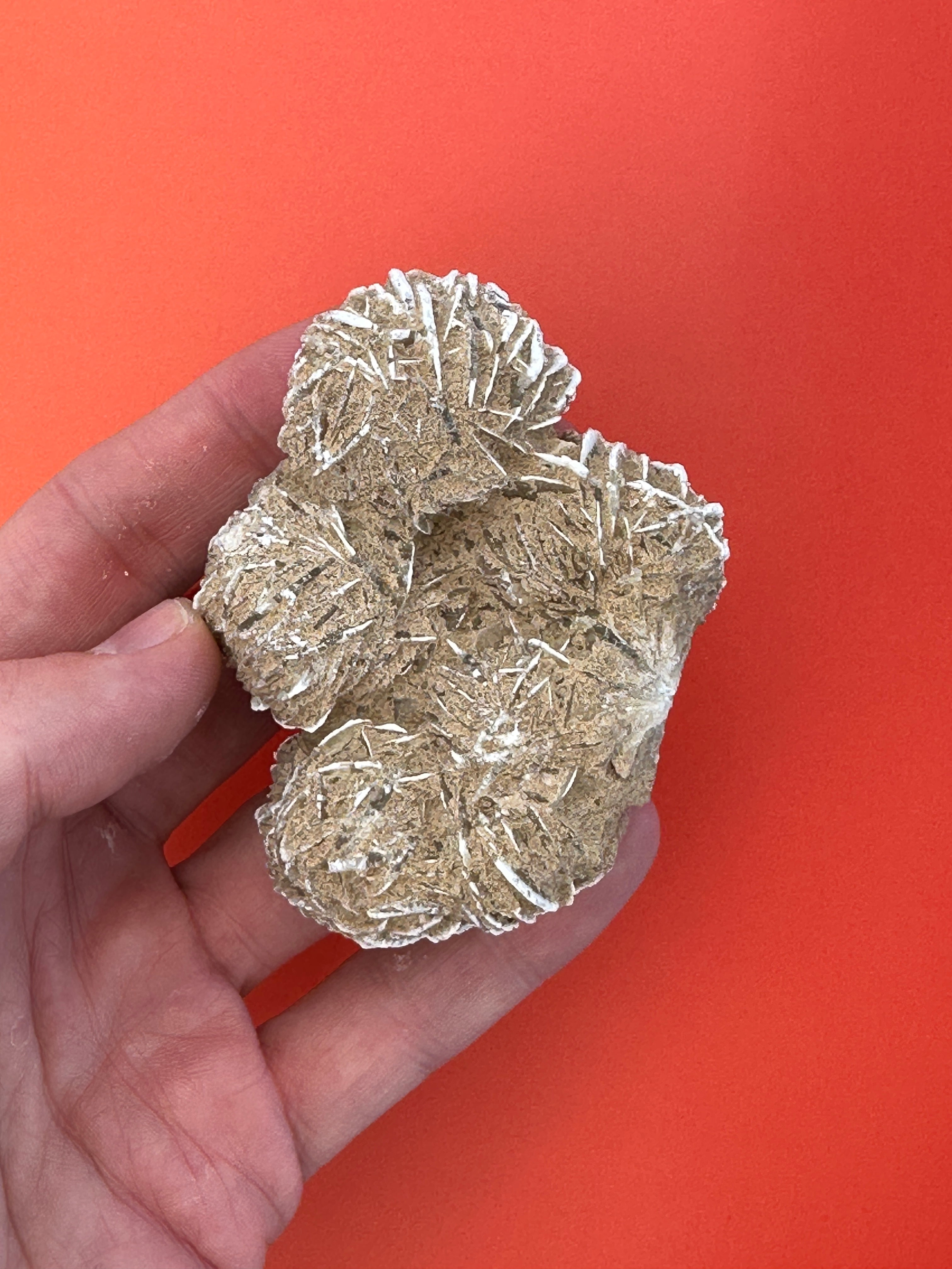 Desert rose - XL Raw cluster