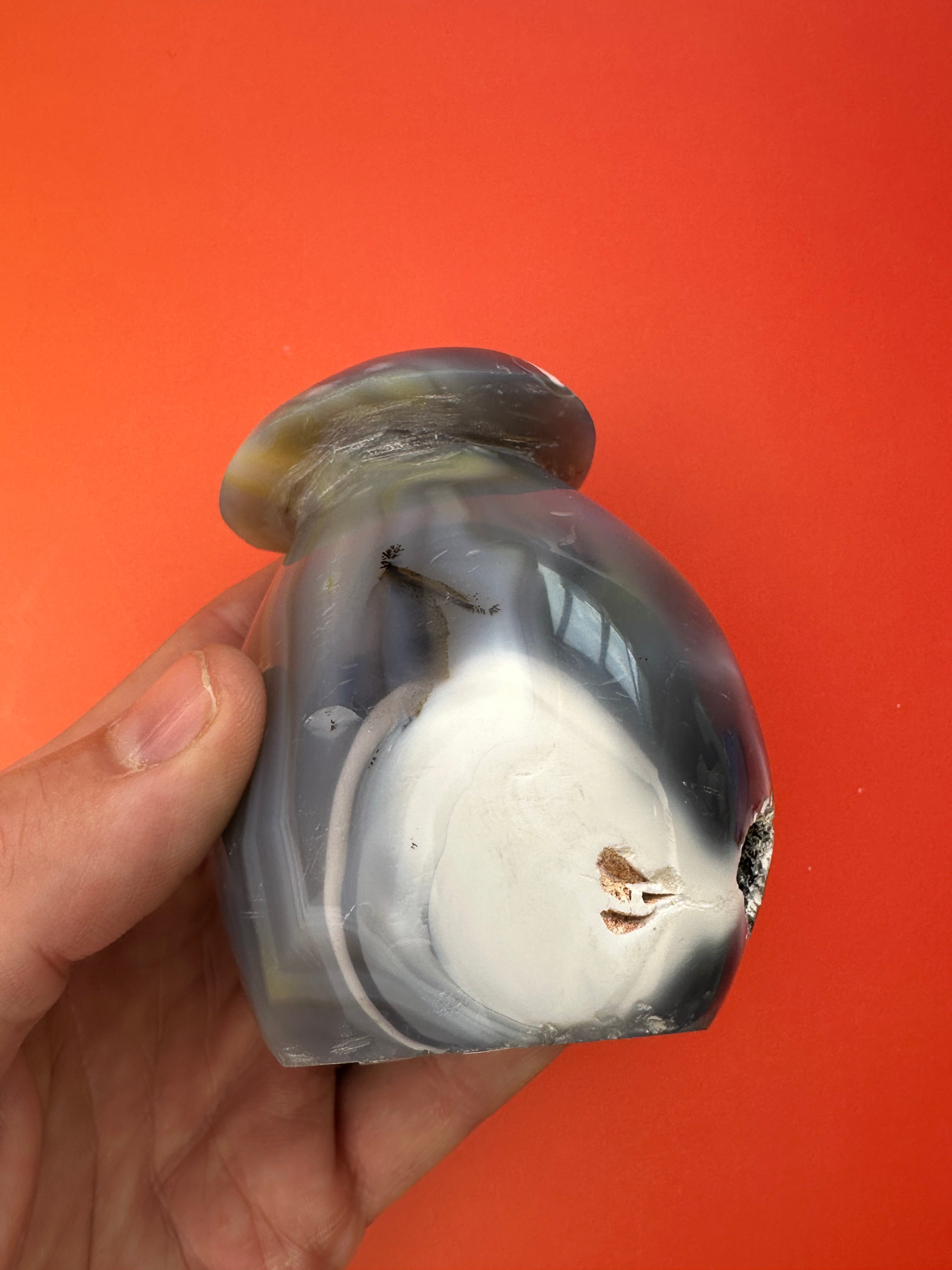 Orca agate - Mushroom free form