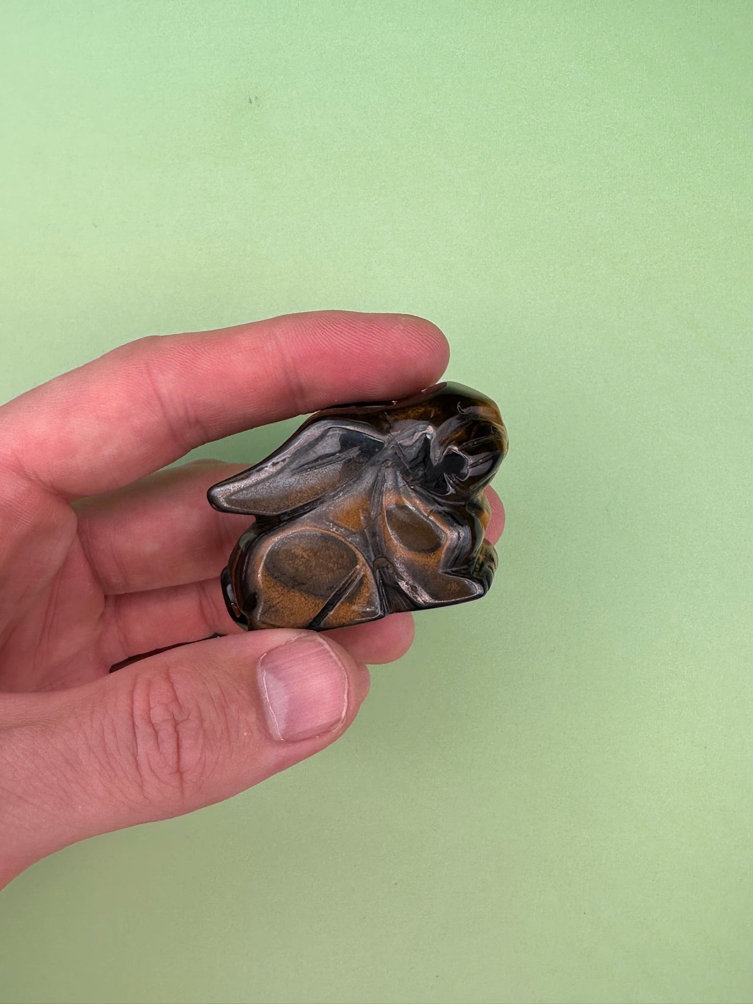 Tigers eye - Rabbit
