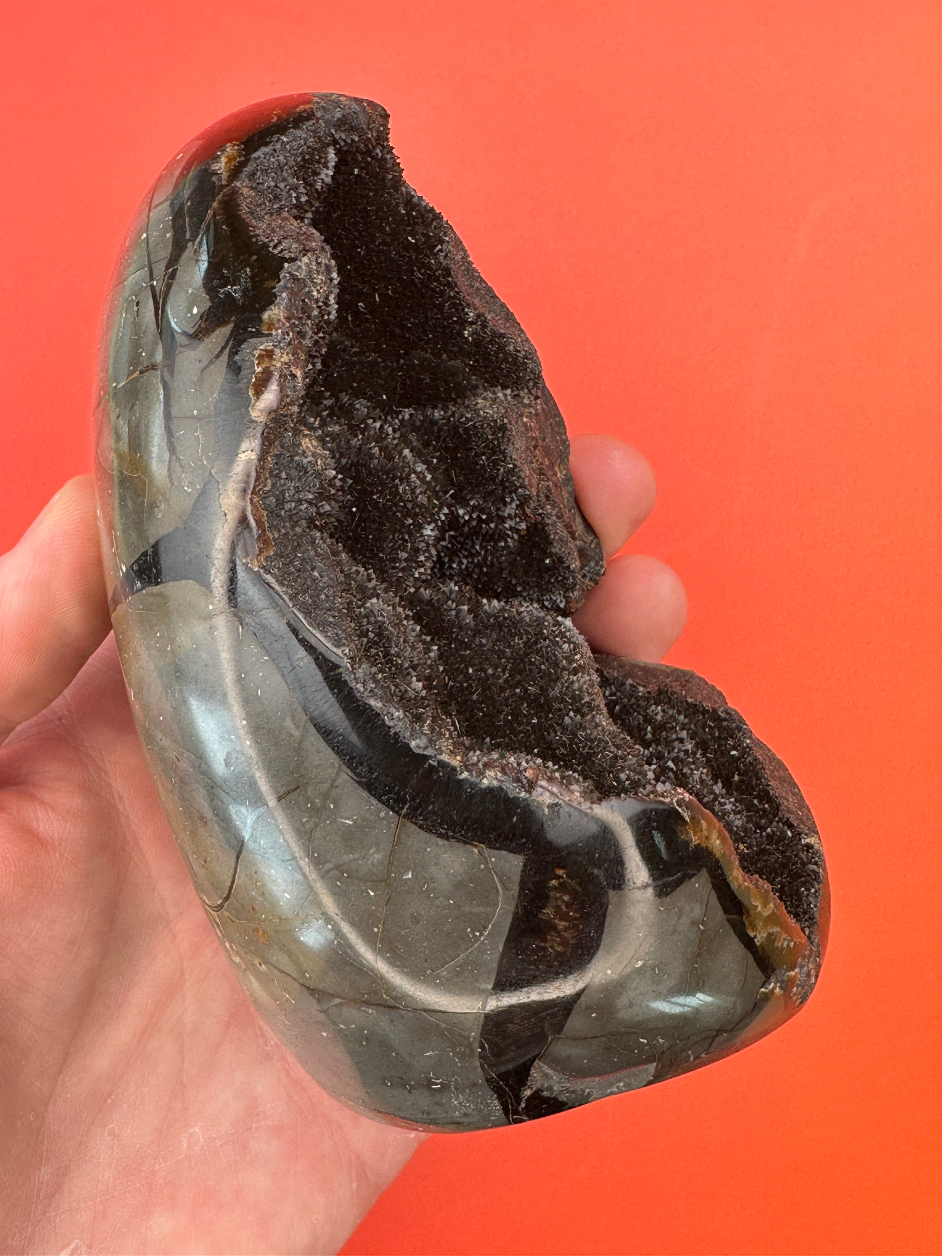 Septarian - Druzy free form