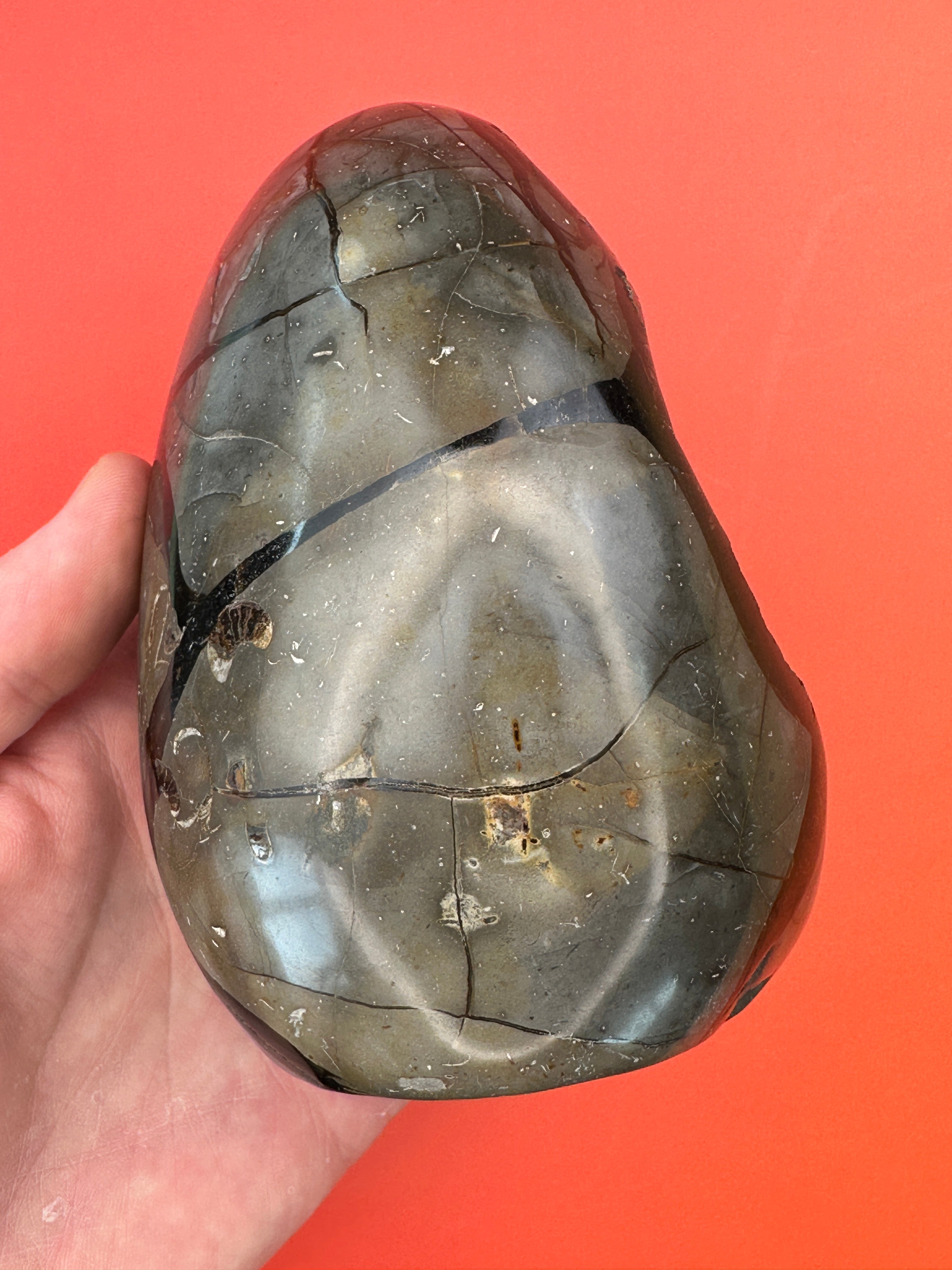 Septarian - Druzy free form