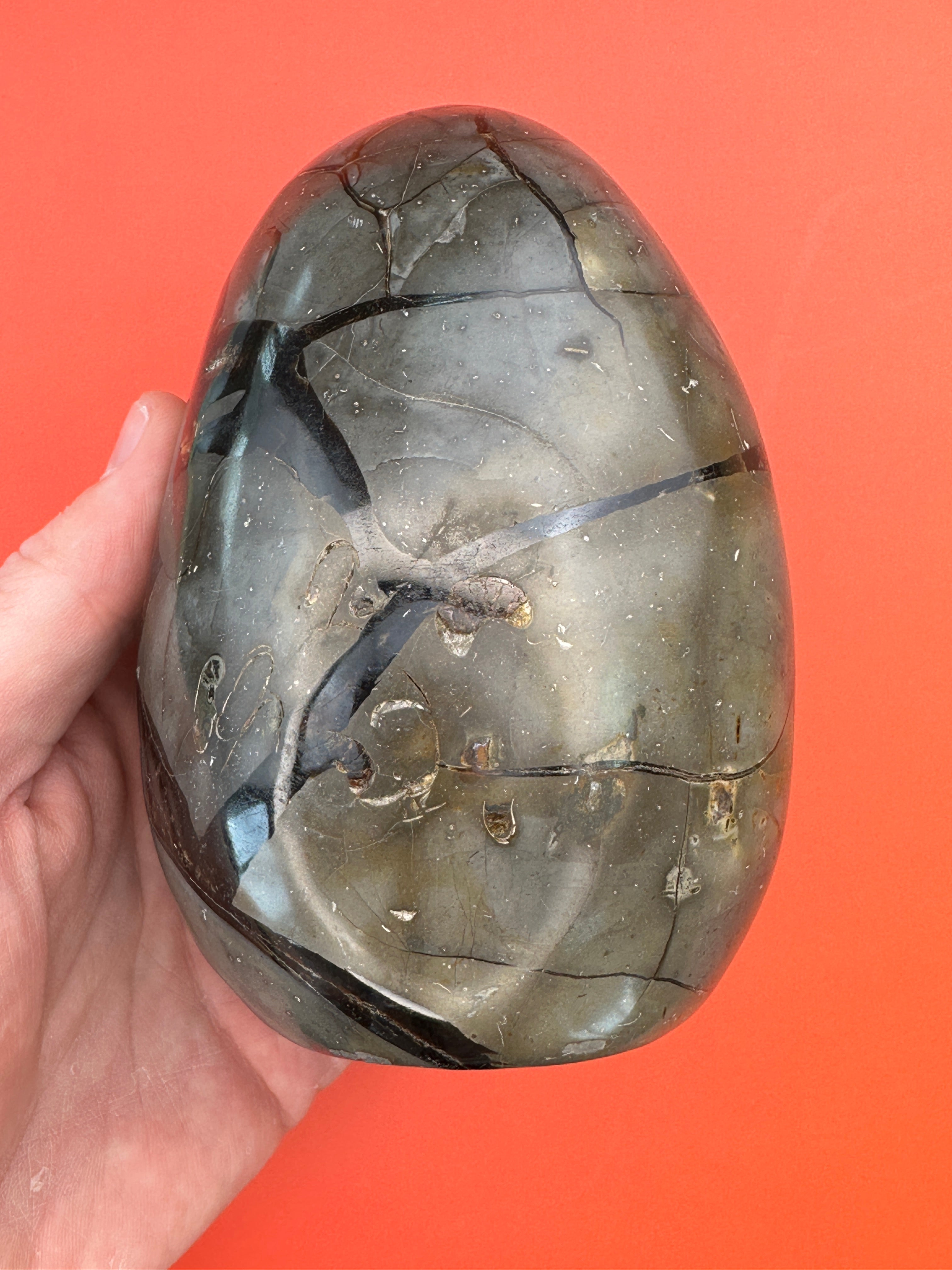 Septarian - Druzy free form