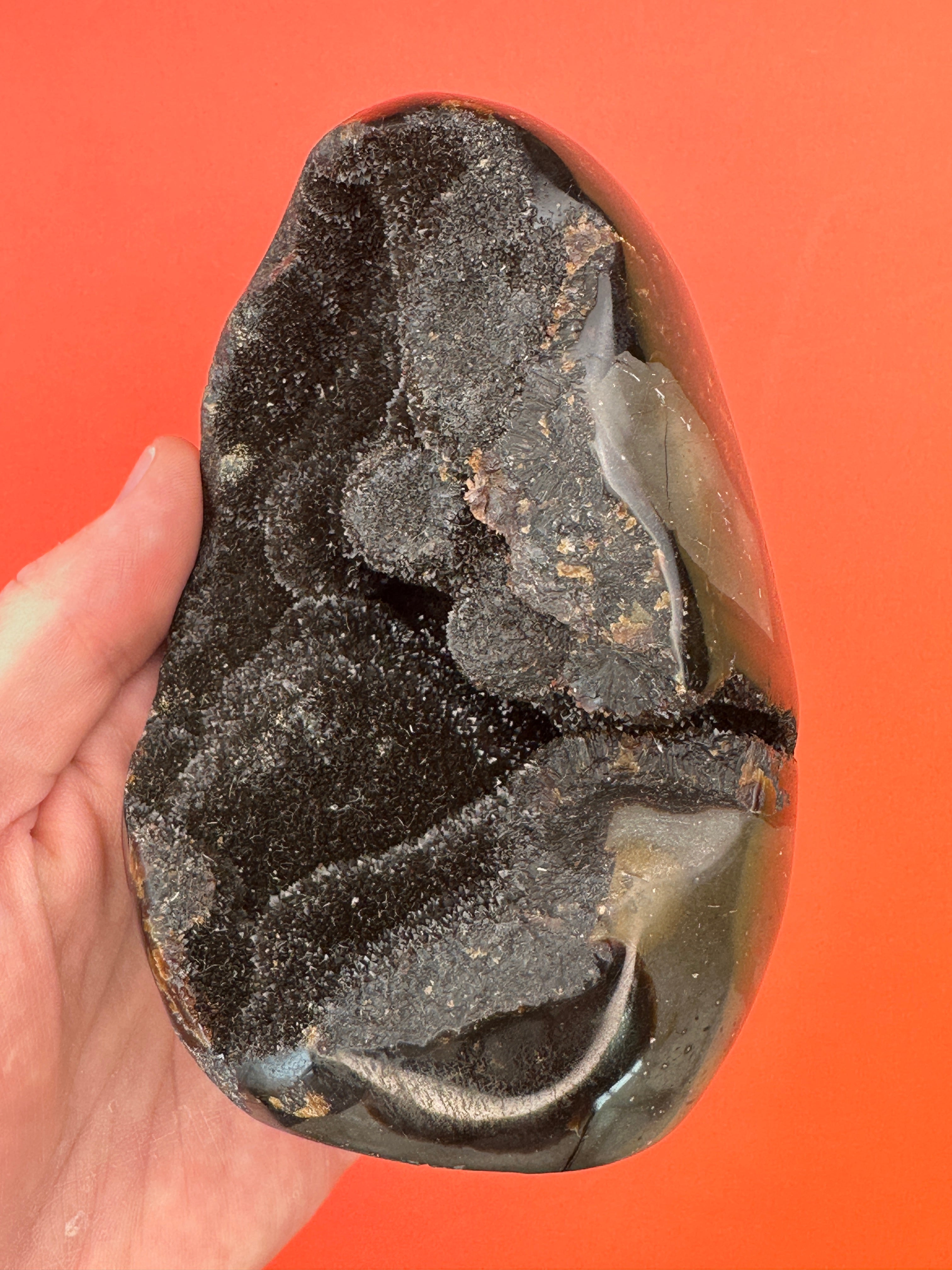 Septarian - Druzy free form