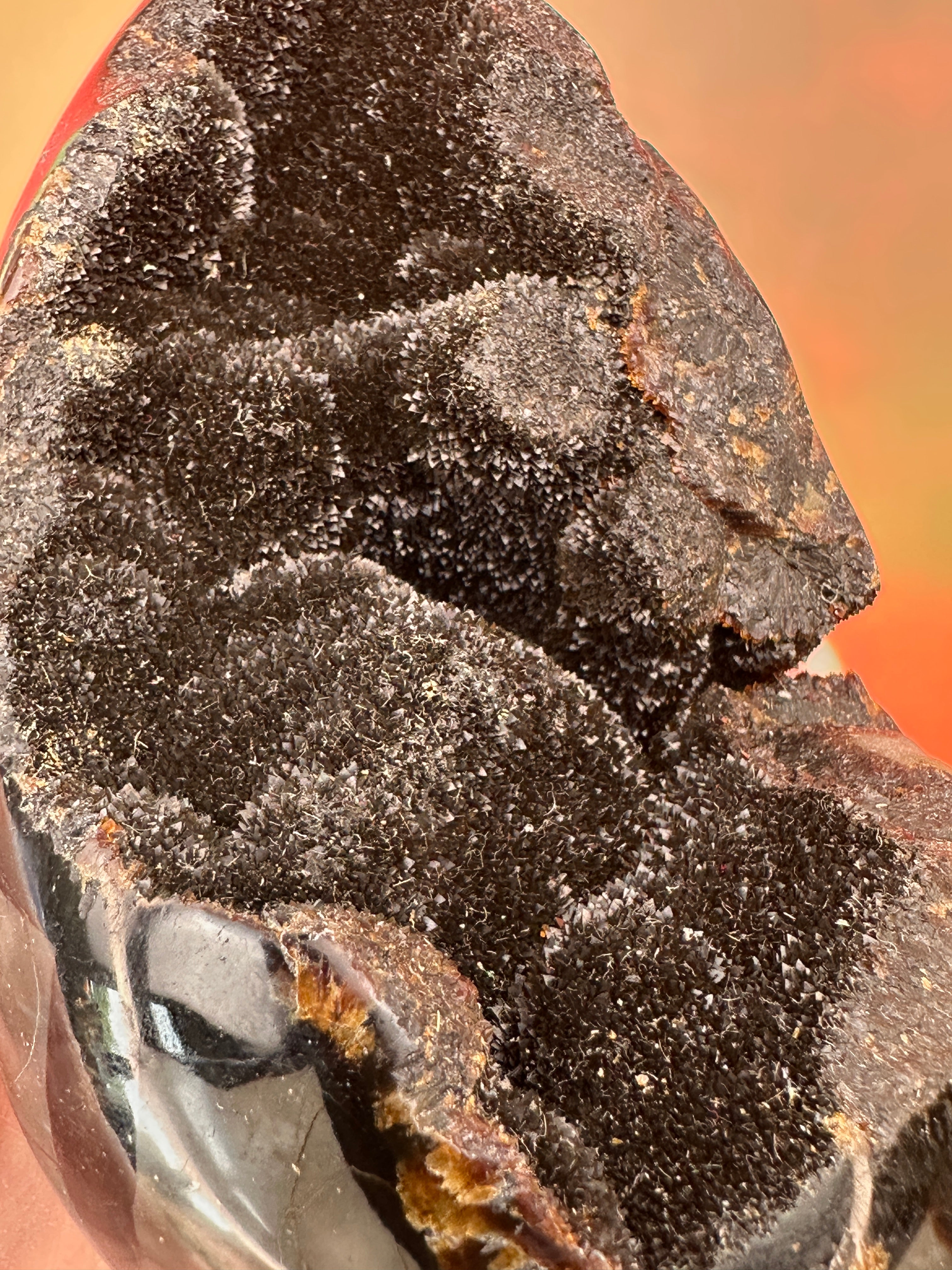 Septarian - Druzy free form