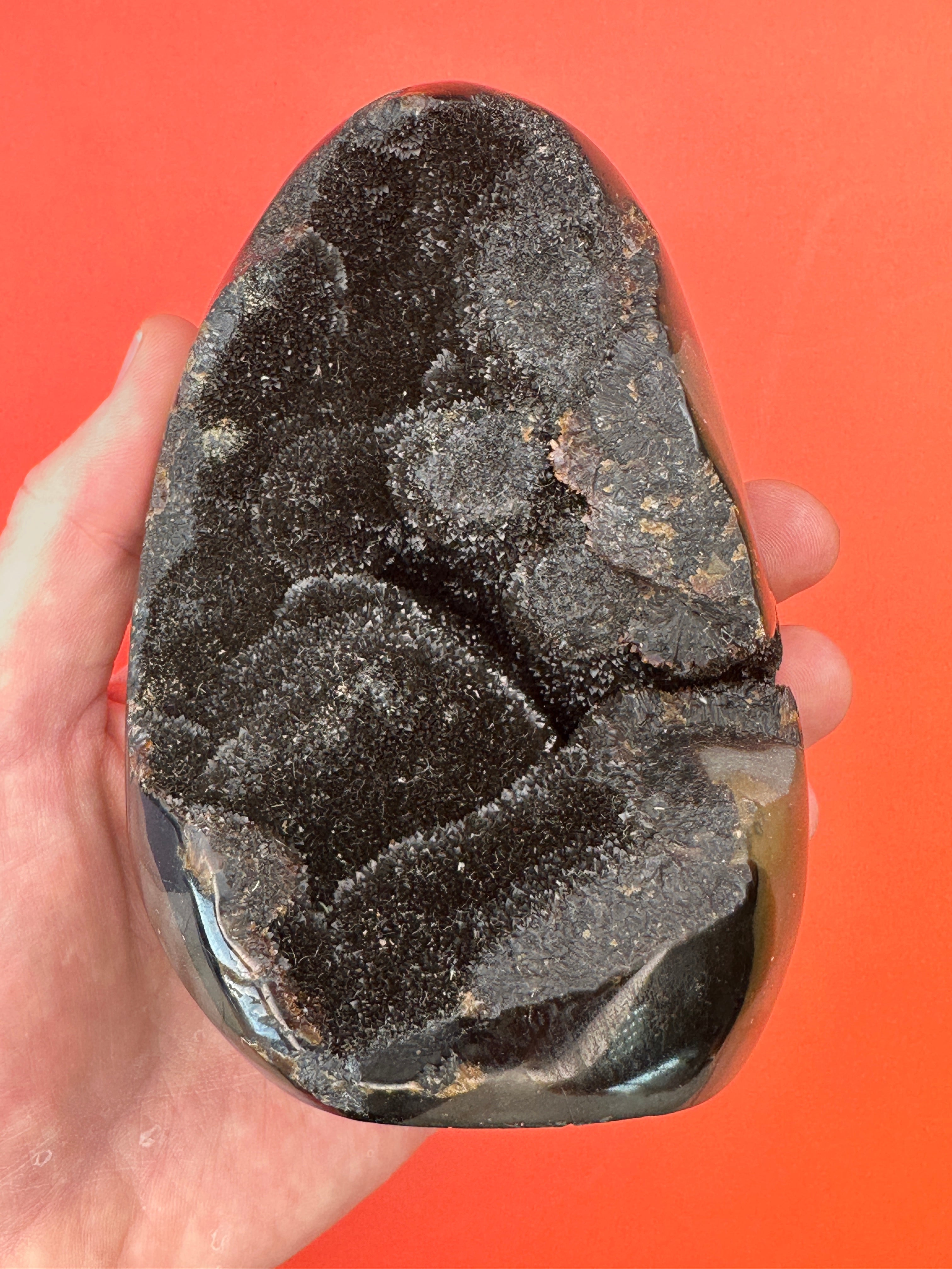 Septarian - Druzy free form