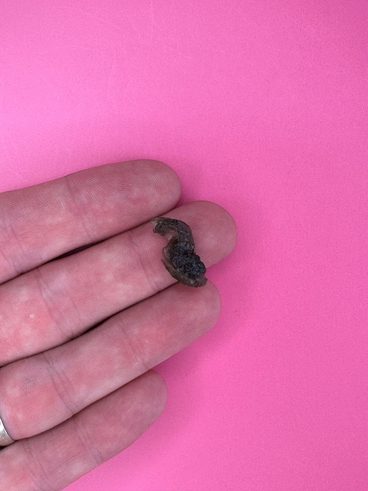 Moldavite - Rough/raw pieces