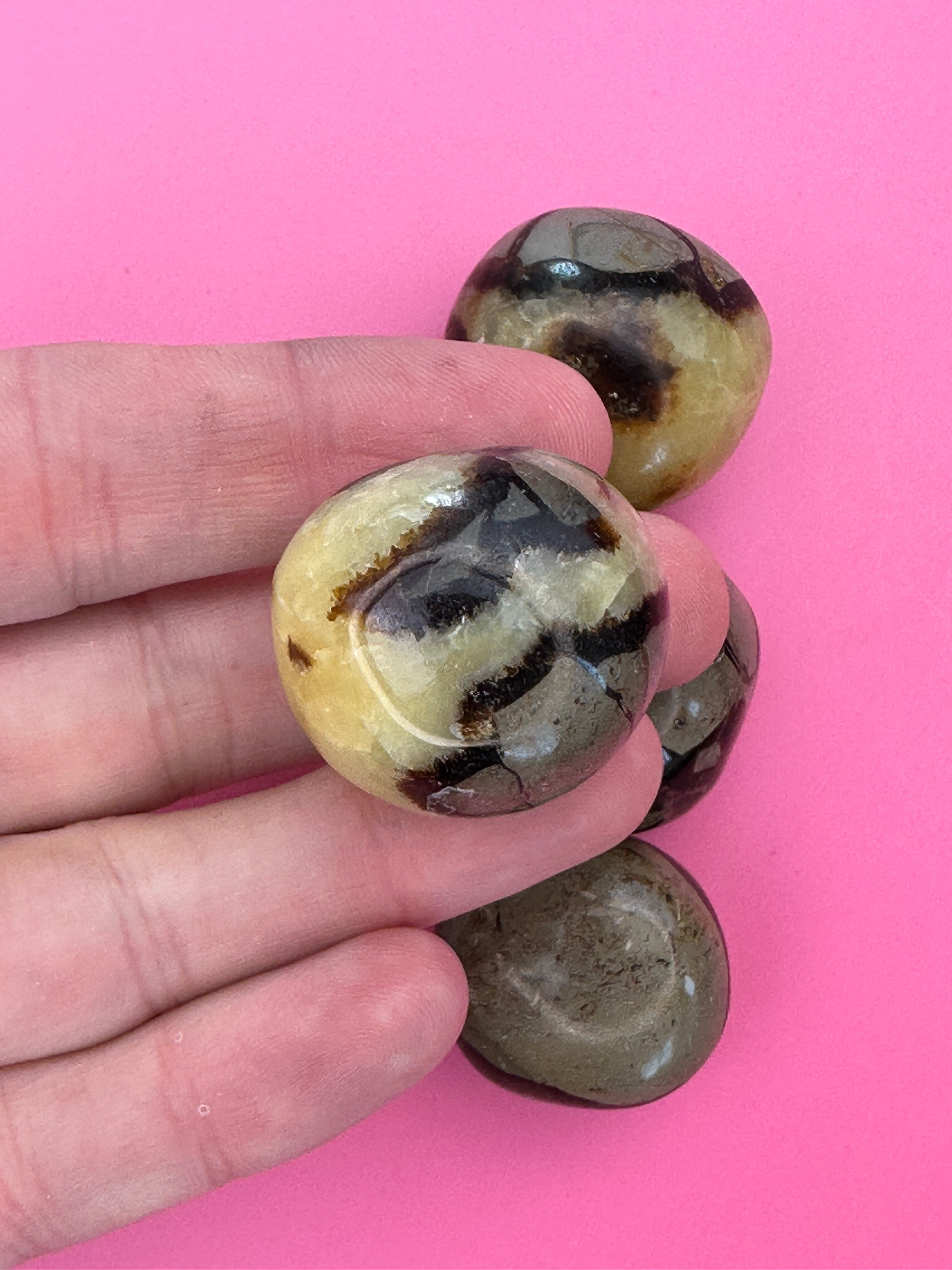 Septarian - Tumblestone