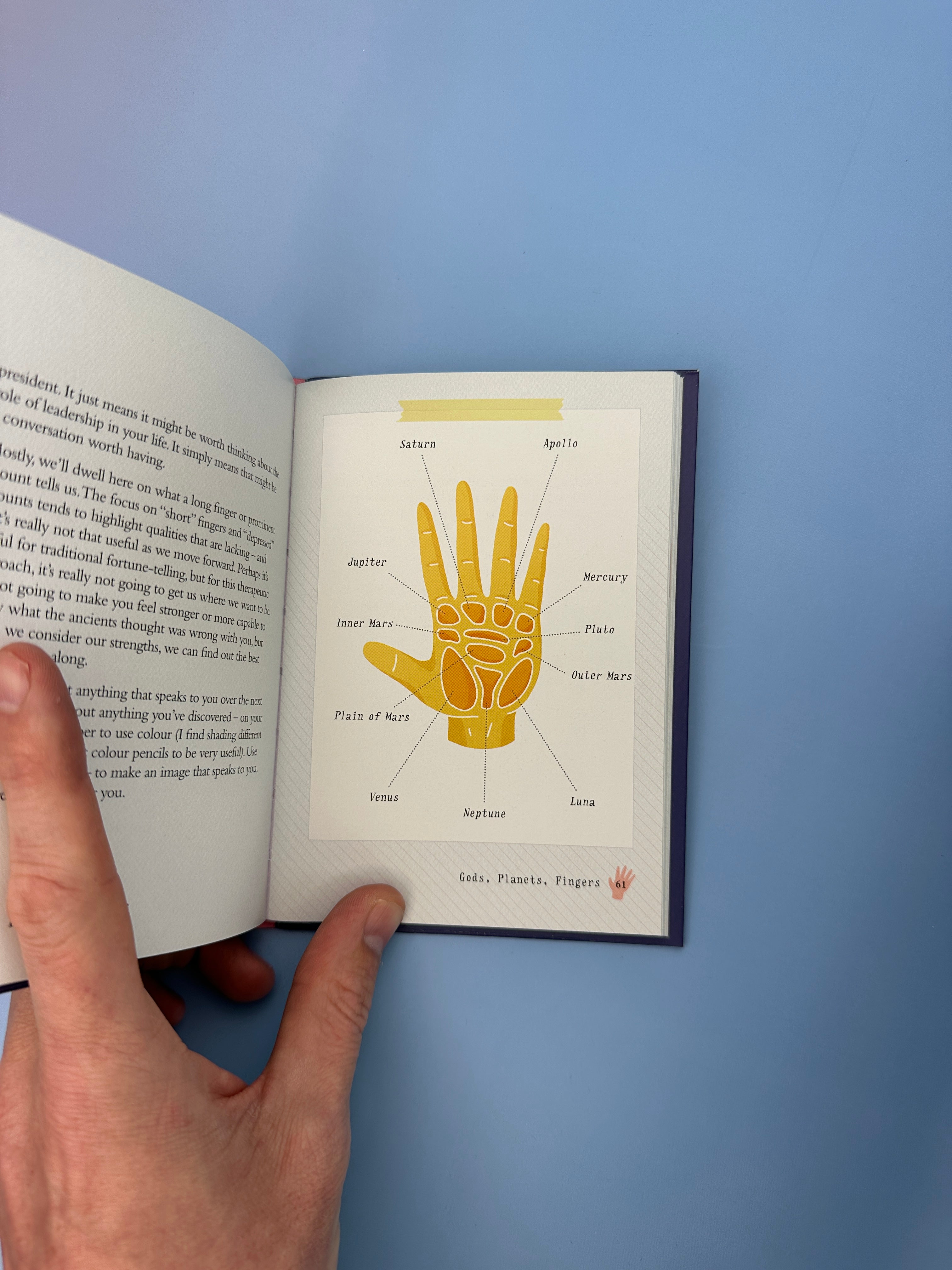 The Little Book of Palm Reading