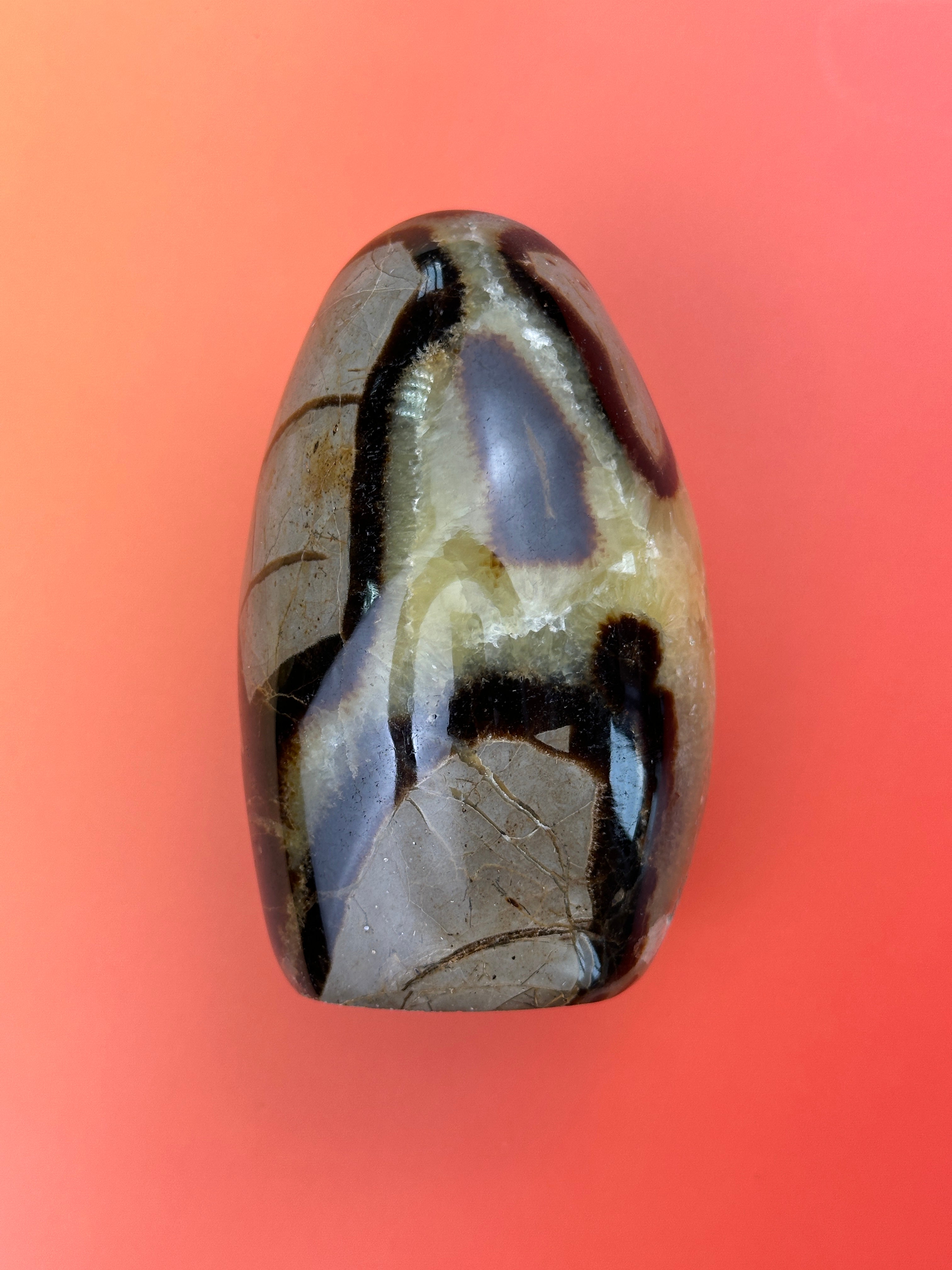 Septarian - Free form