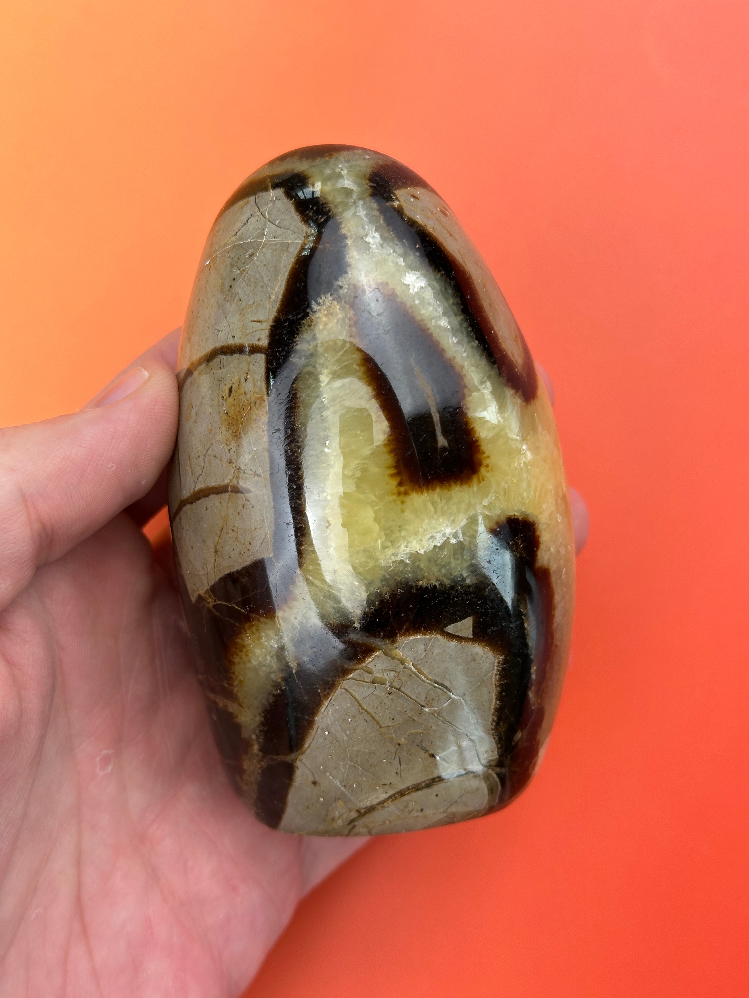 Septarian - Free form