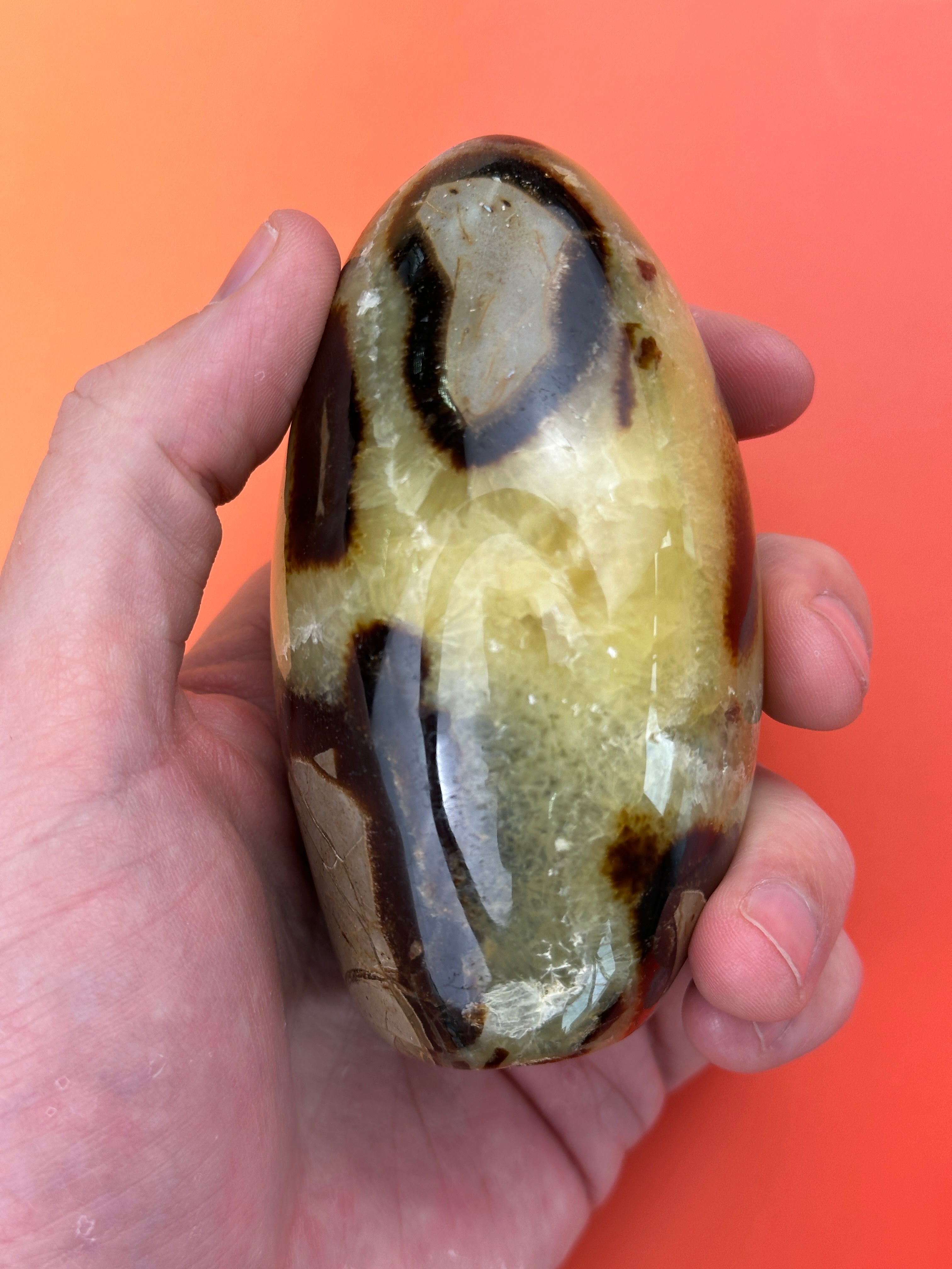 Septarian - Free form
