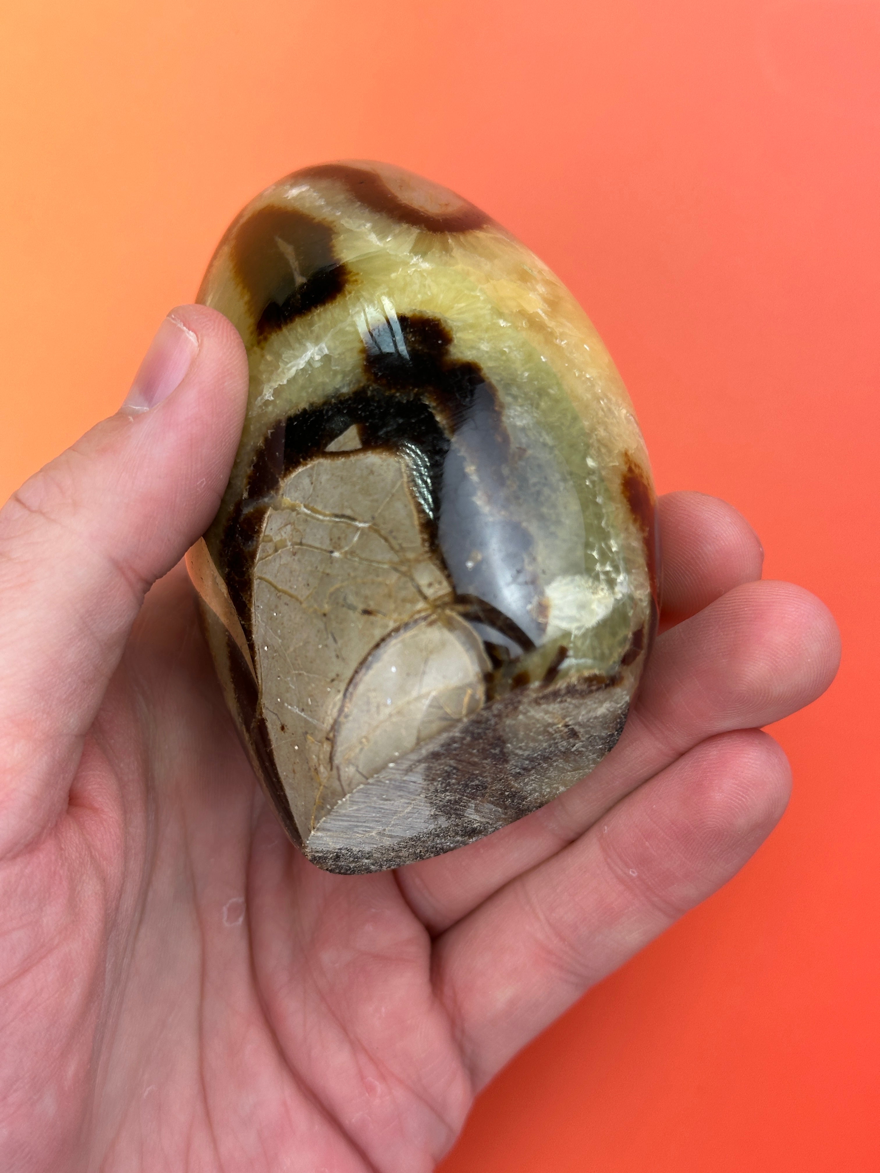Septarian - Free form