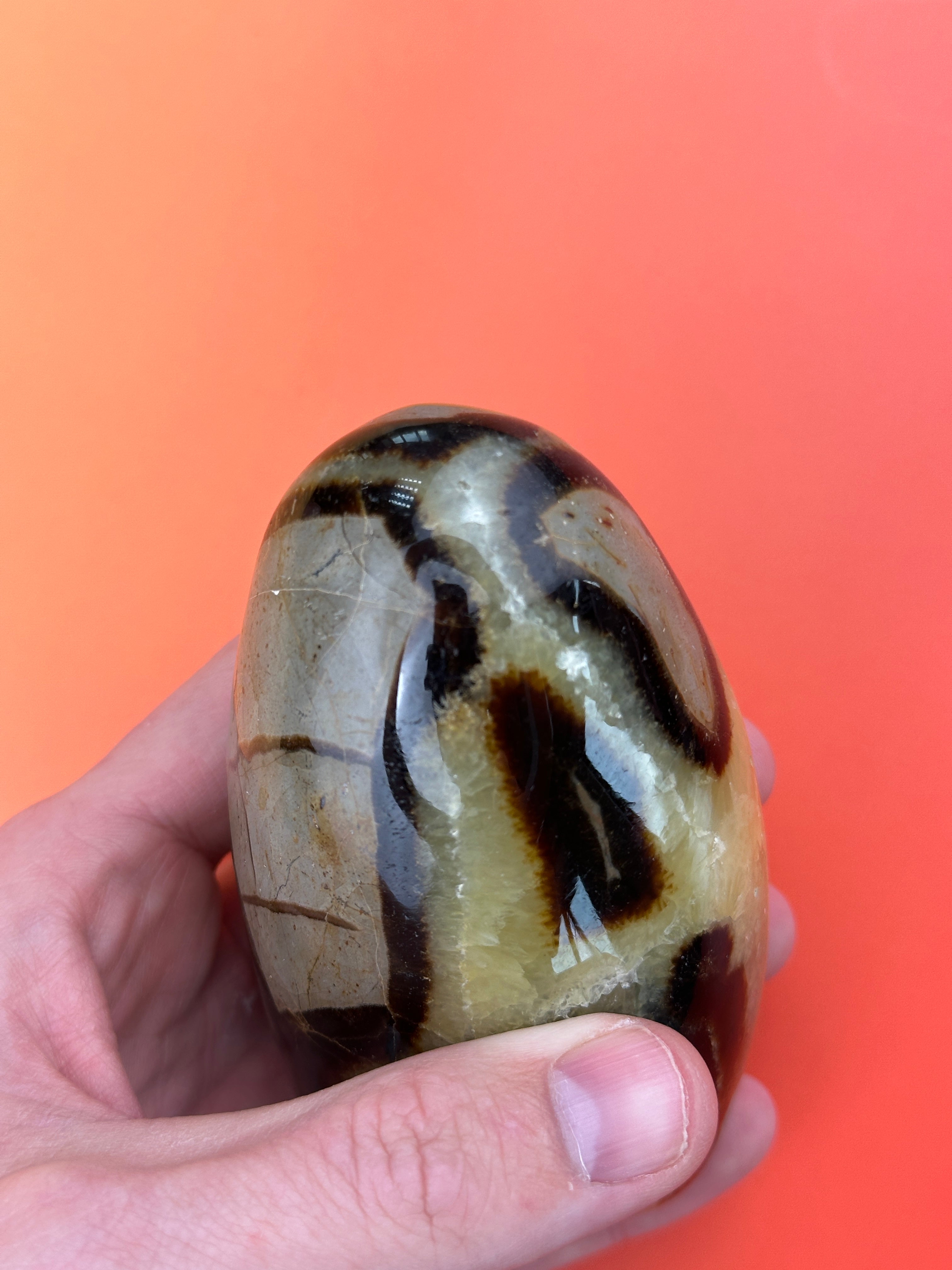 Septarian - Free form