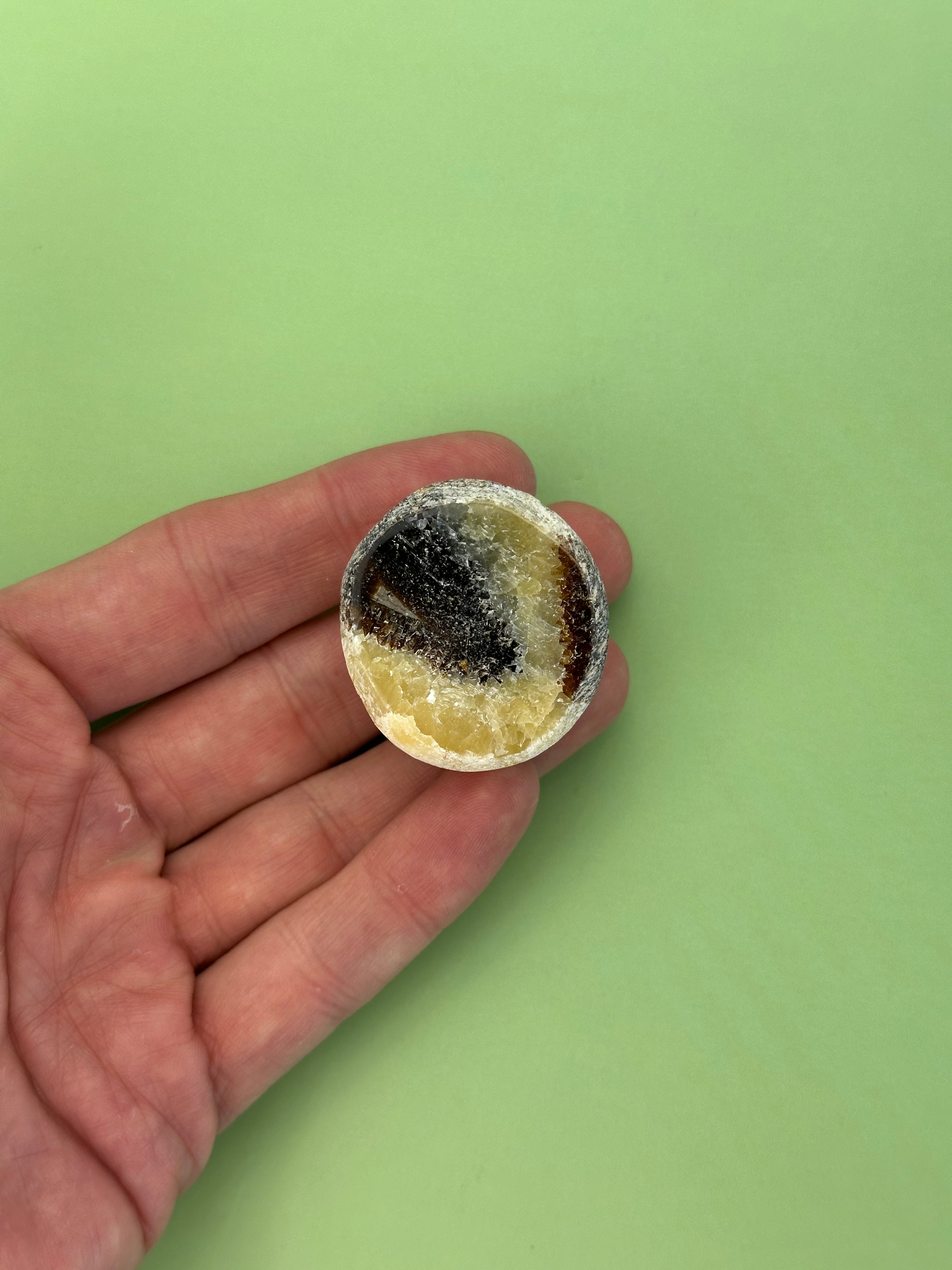 Septarian - Rough dragon egg