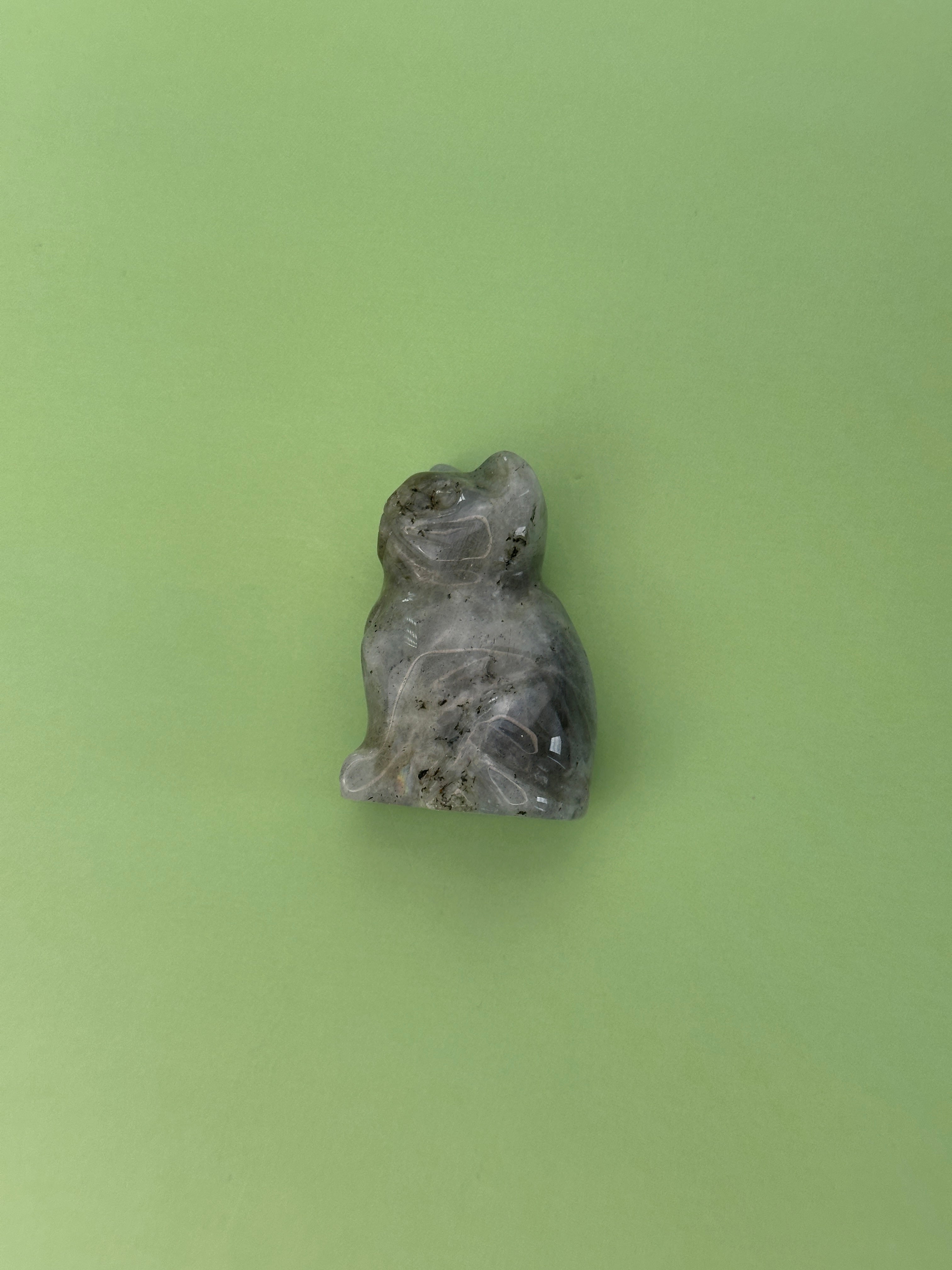 Labradorite - Cat