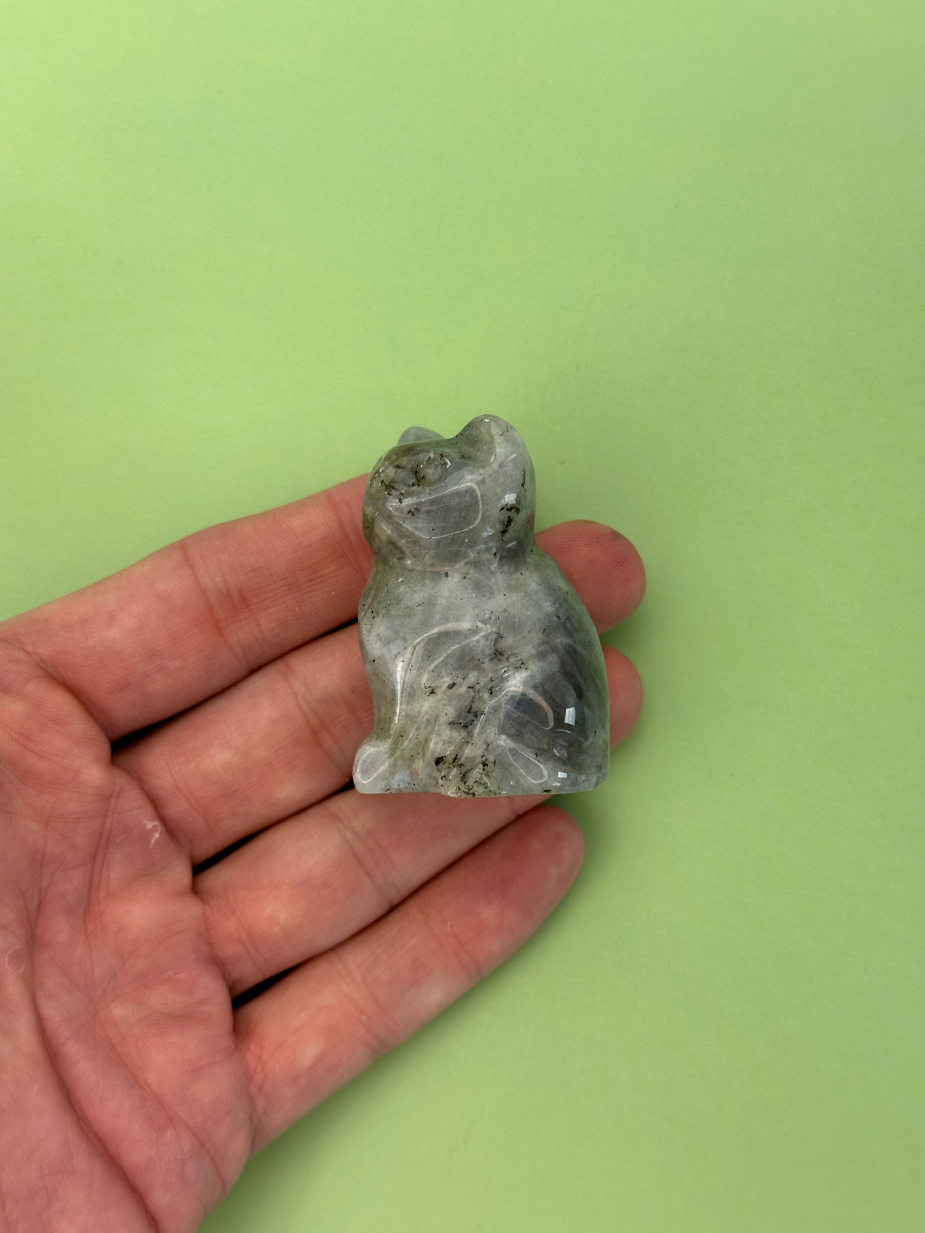 Labradorite - Cat