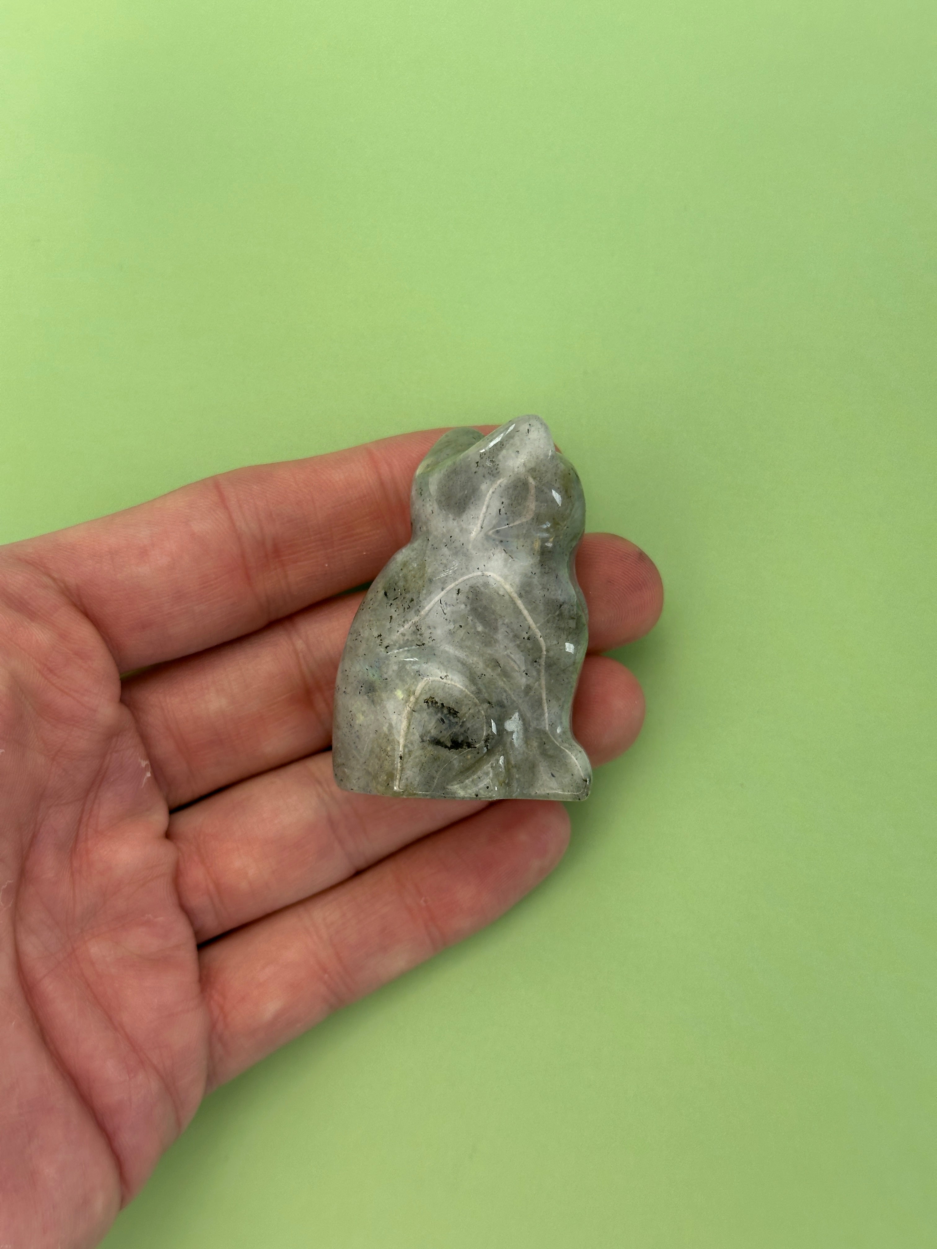 Labradorite - Cat