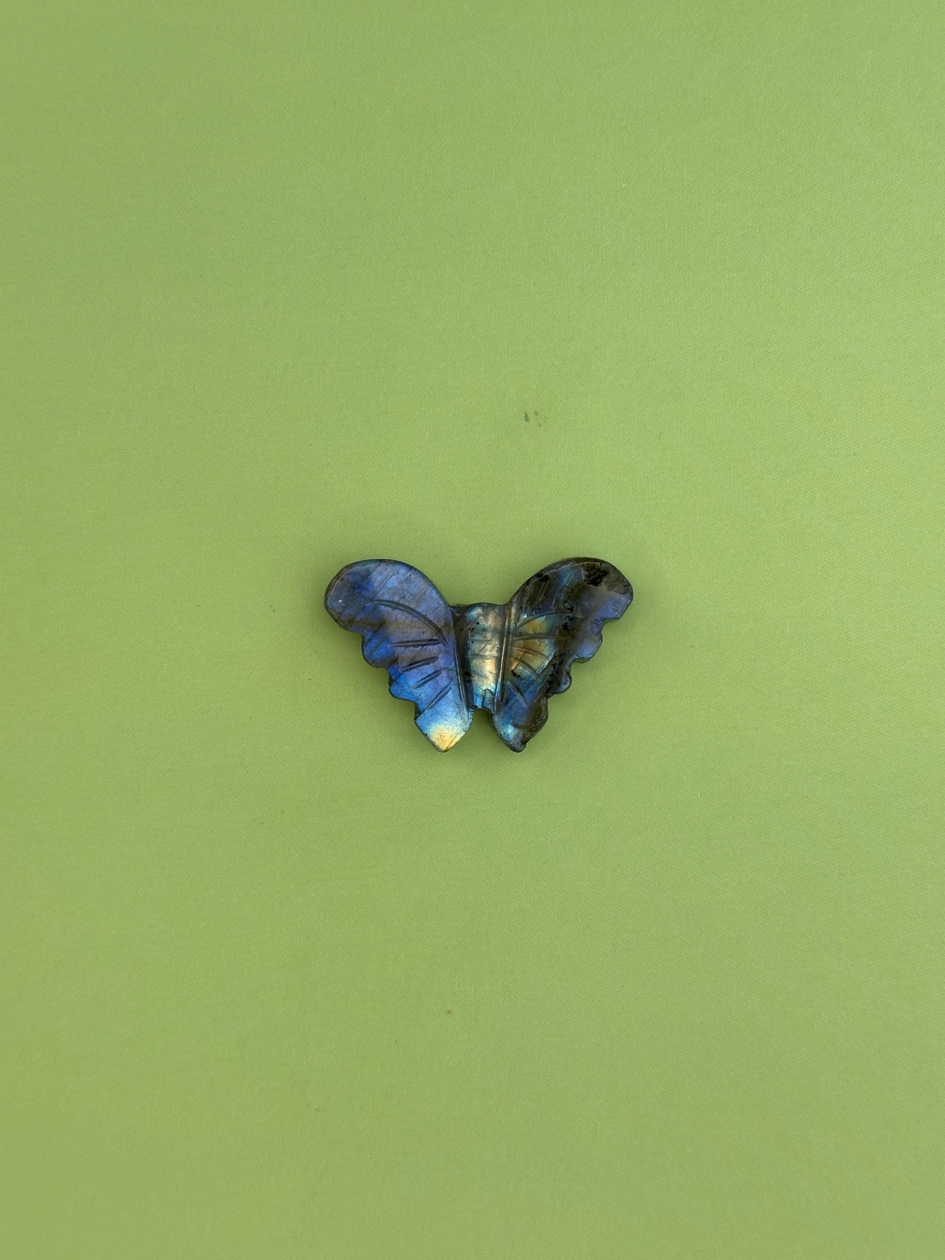 Labradorite - Butterfly