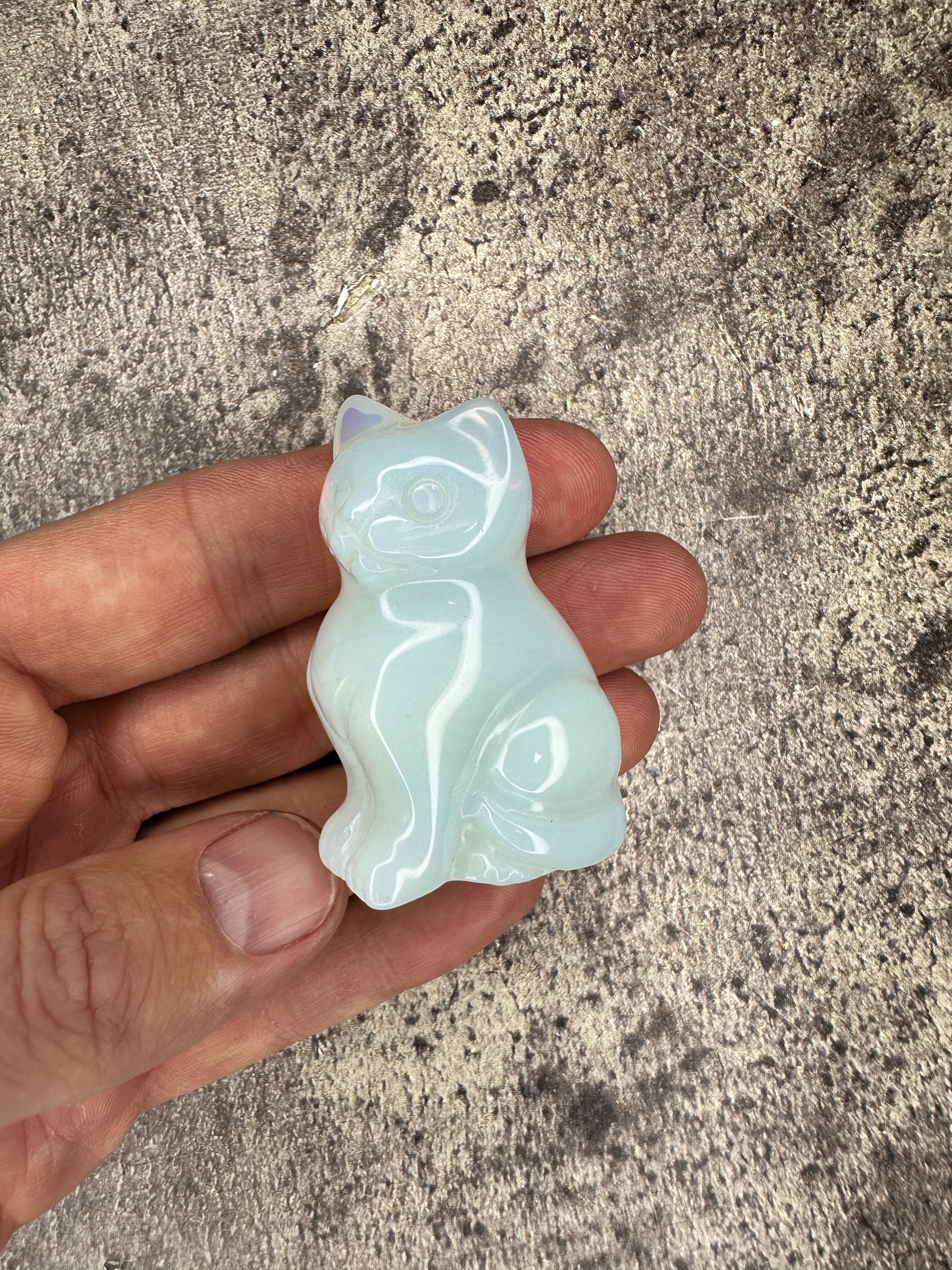 Opalite - Cat