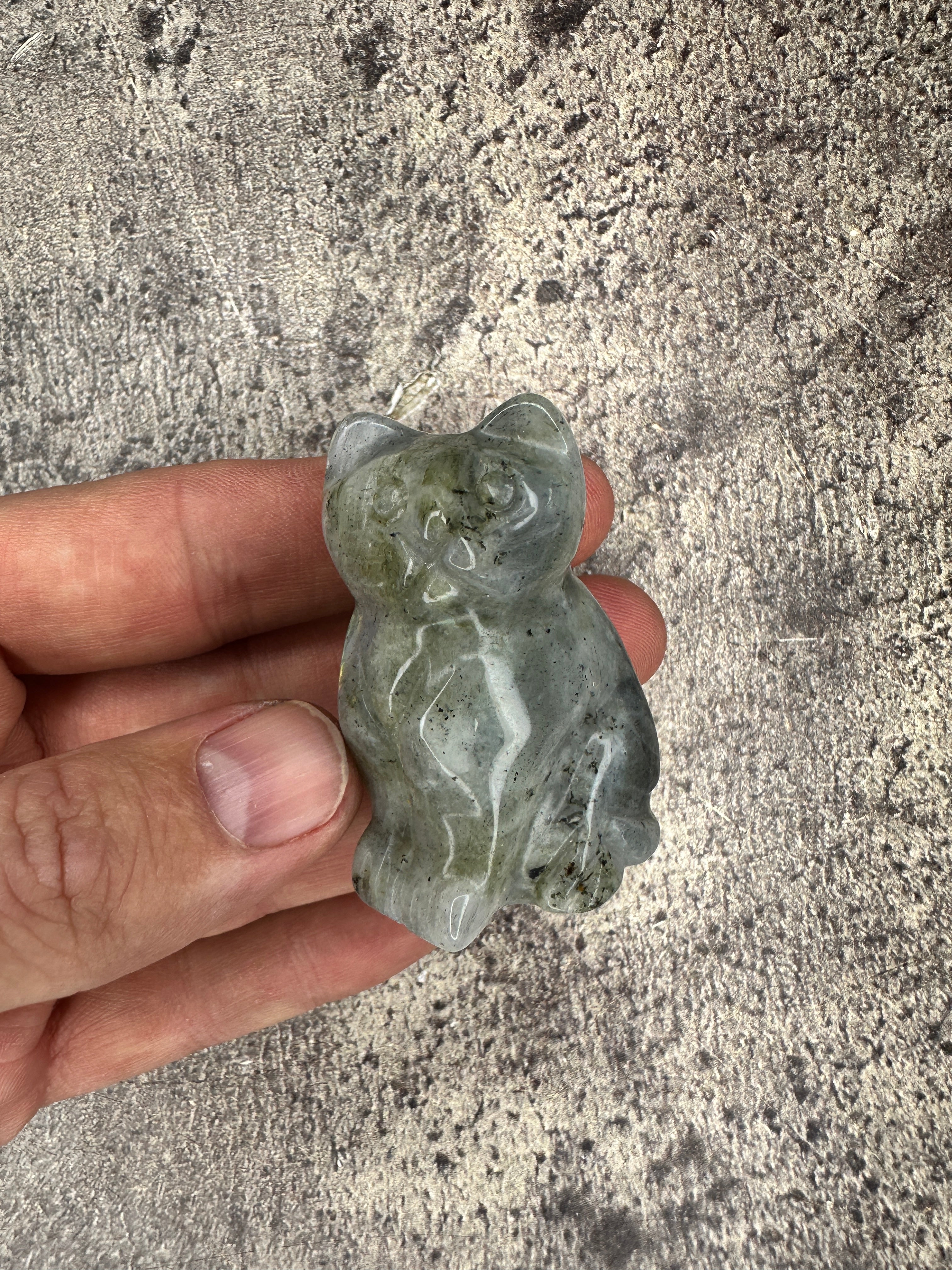 Labradorite - Cat