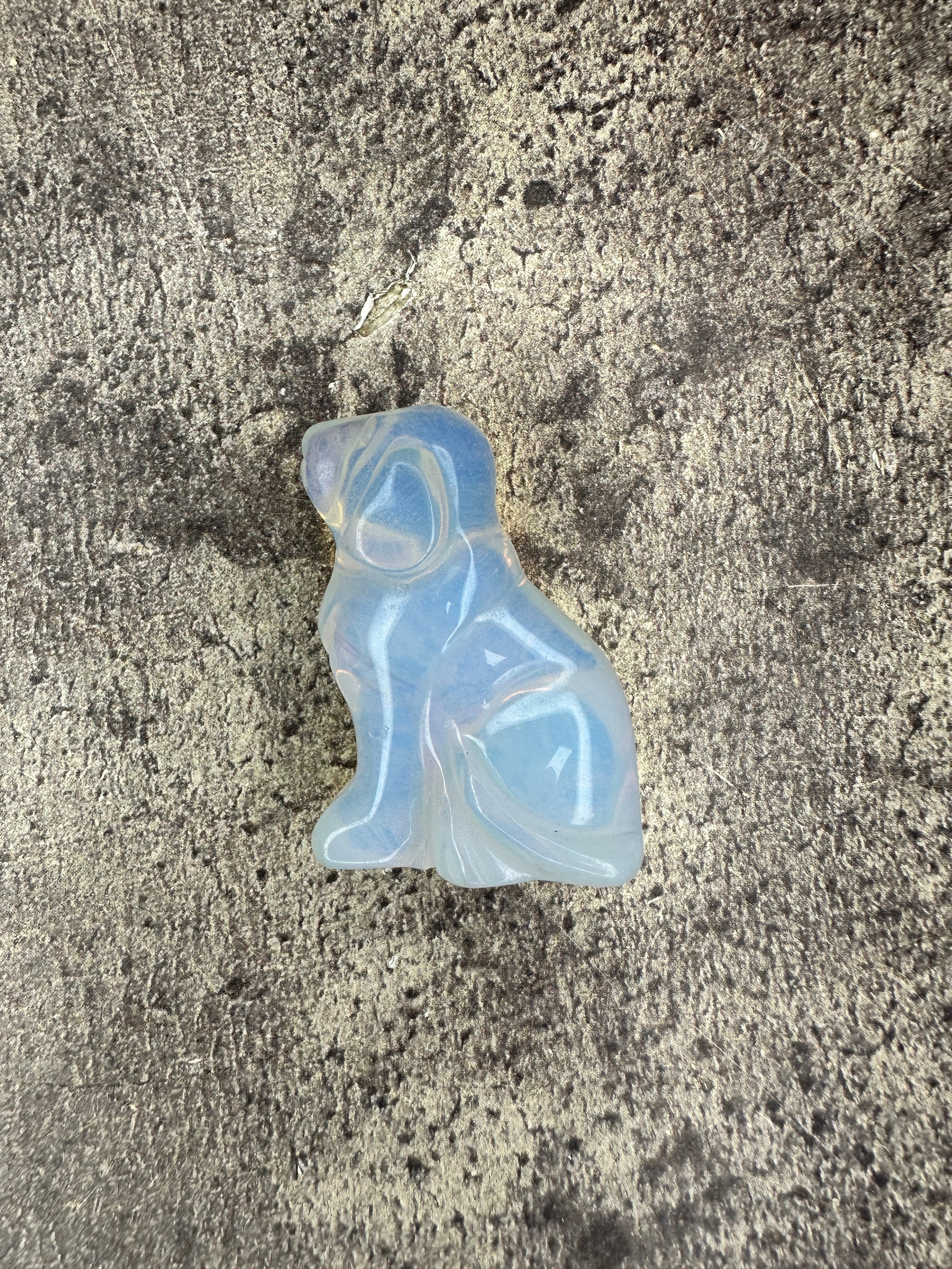 Opalite - Dog