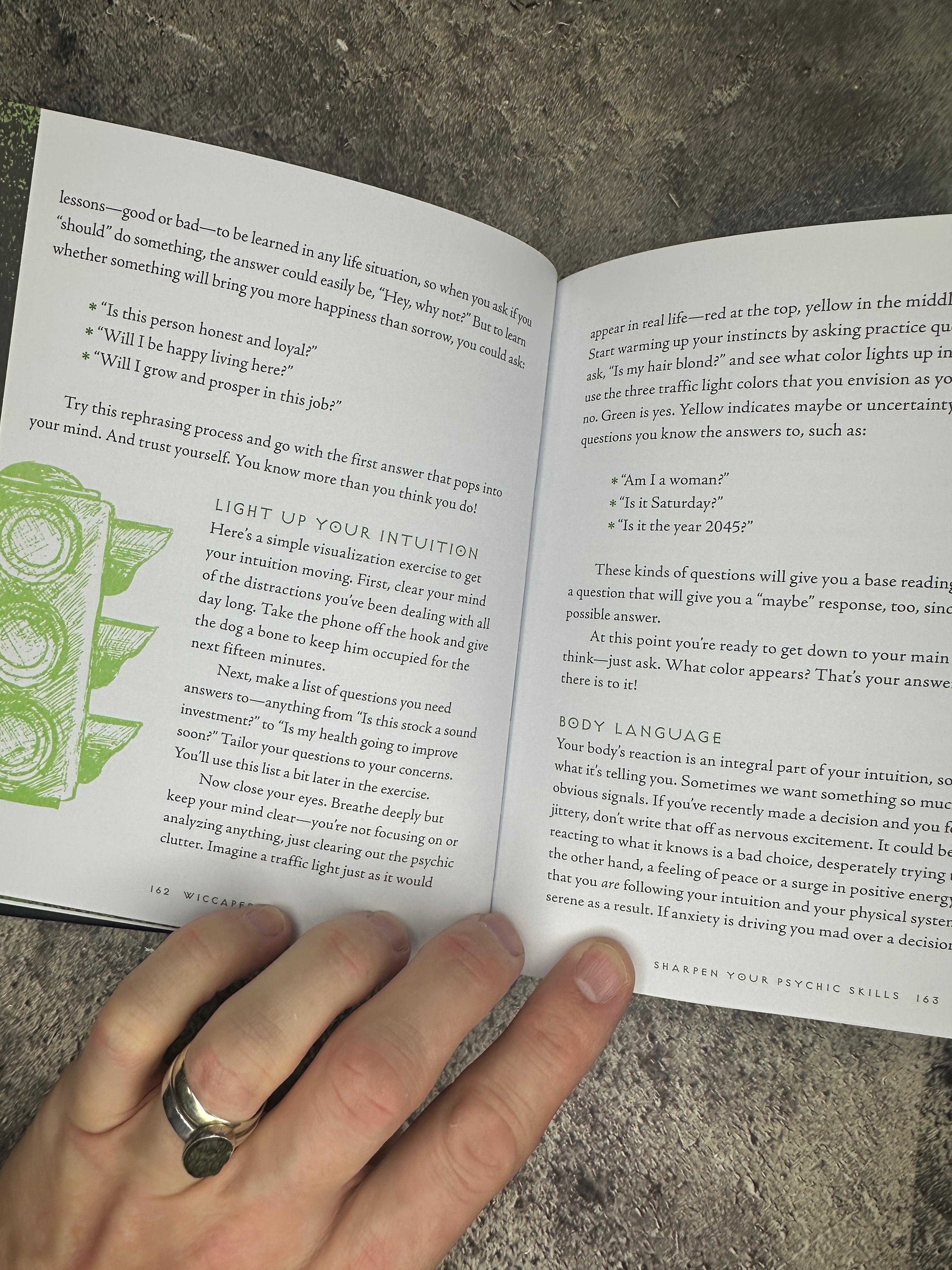 Wiccapedia: A Modern-Day White Witch's Guide - Shawn Robbins, Leanna Greenway