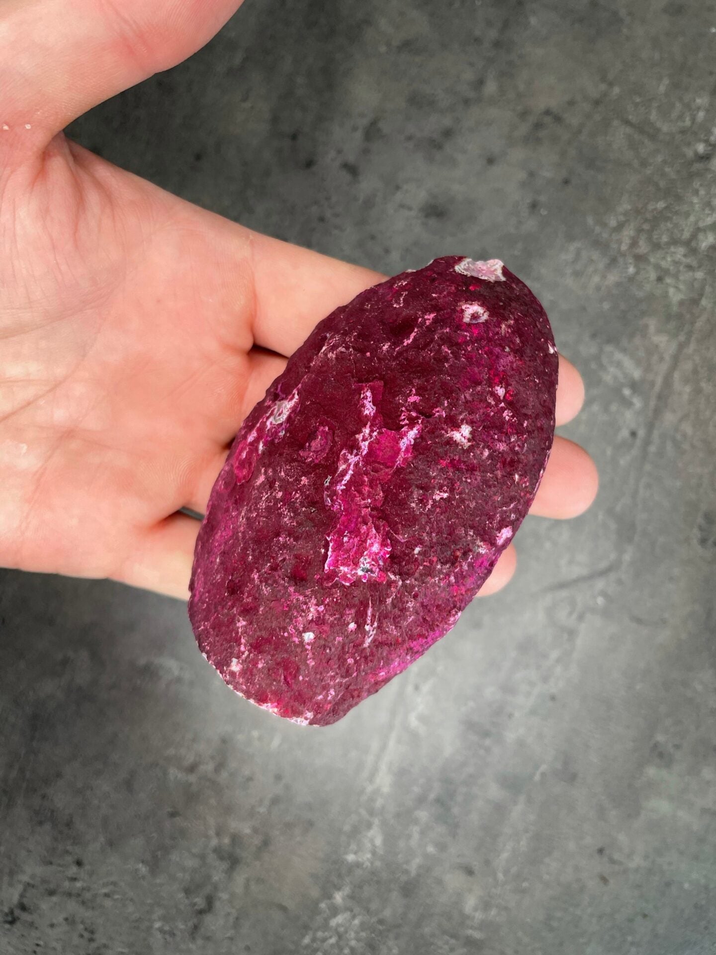 image_e1f11e7d-916c-4e7d-9c94-0685e97ebef1